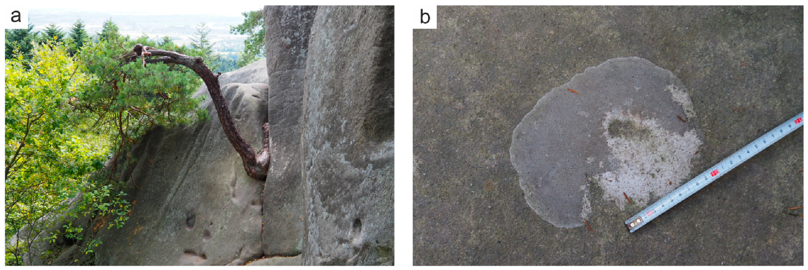 Resources 09 00145 g004