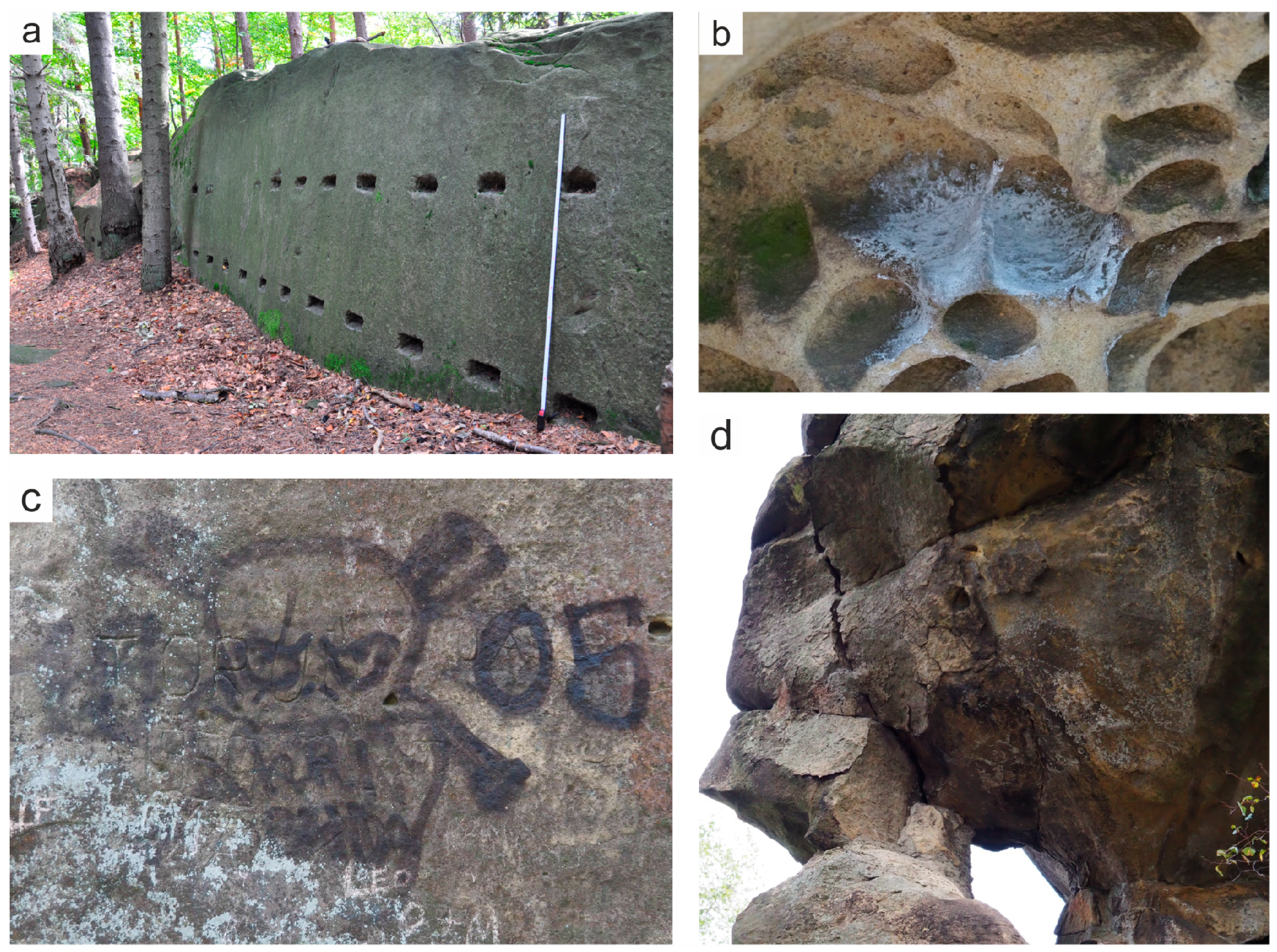 Resources 09 00145 g006