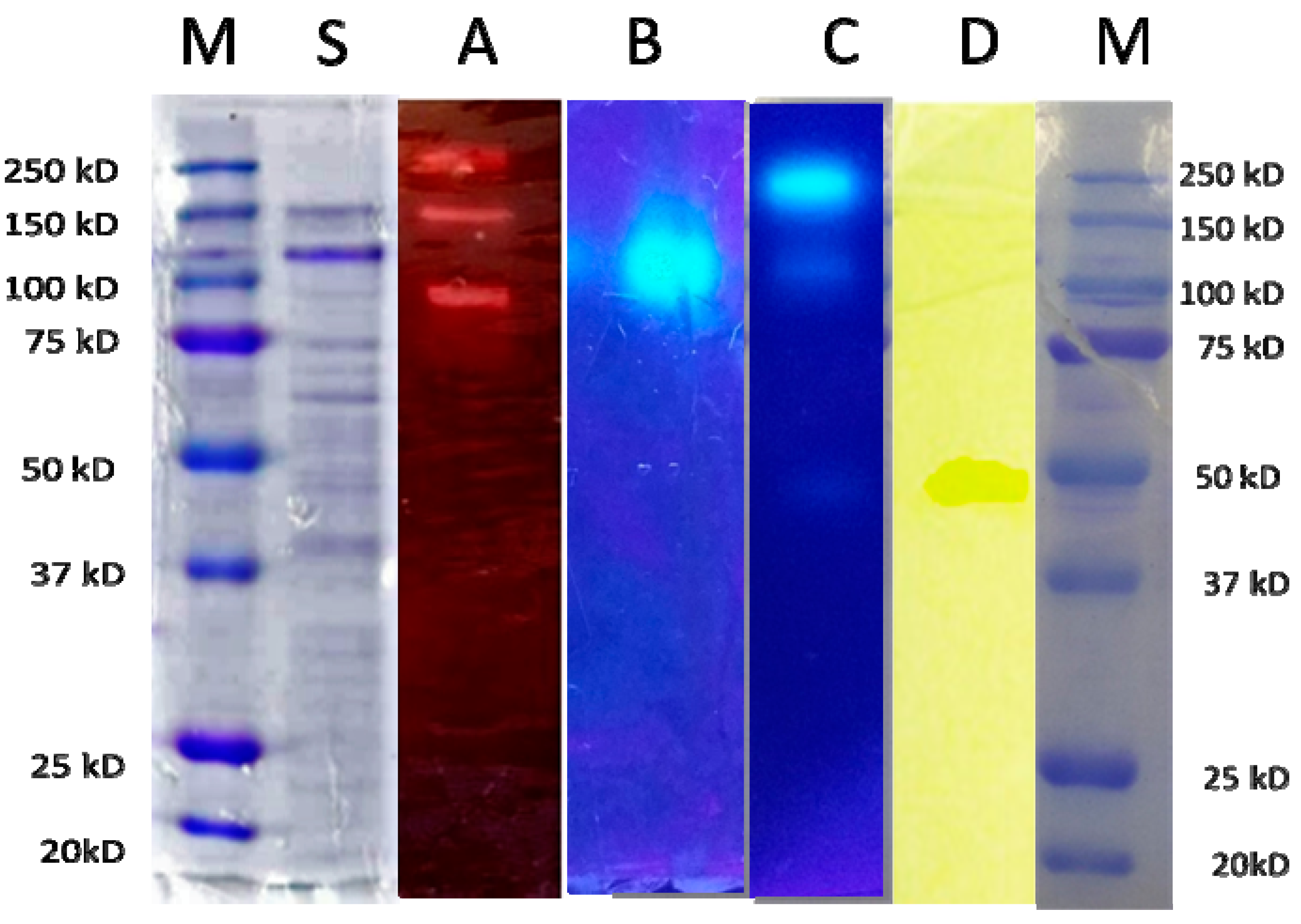 Resources 10 00115 g009