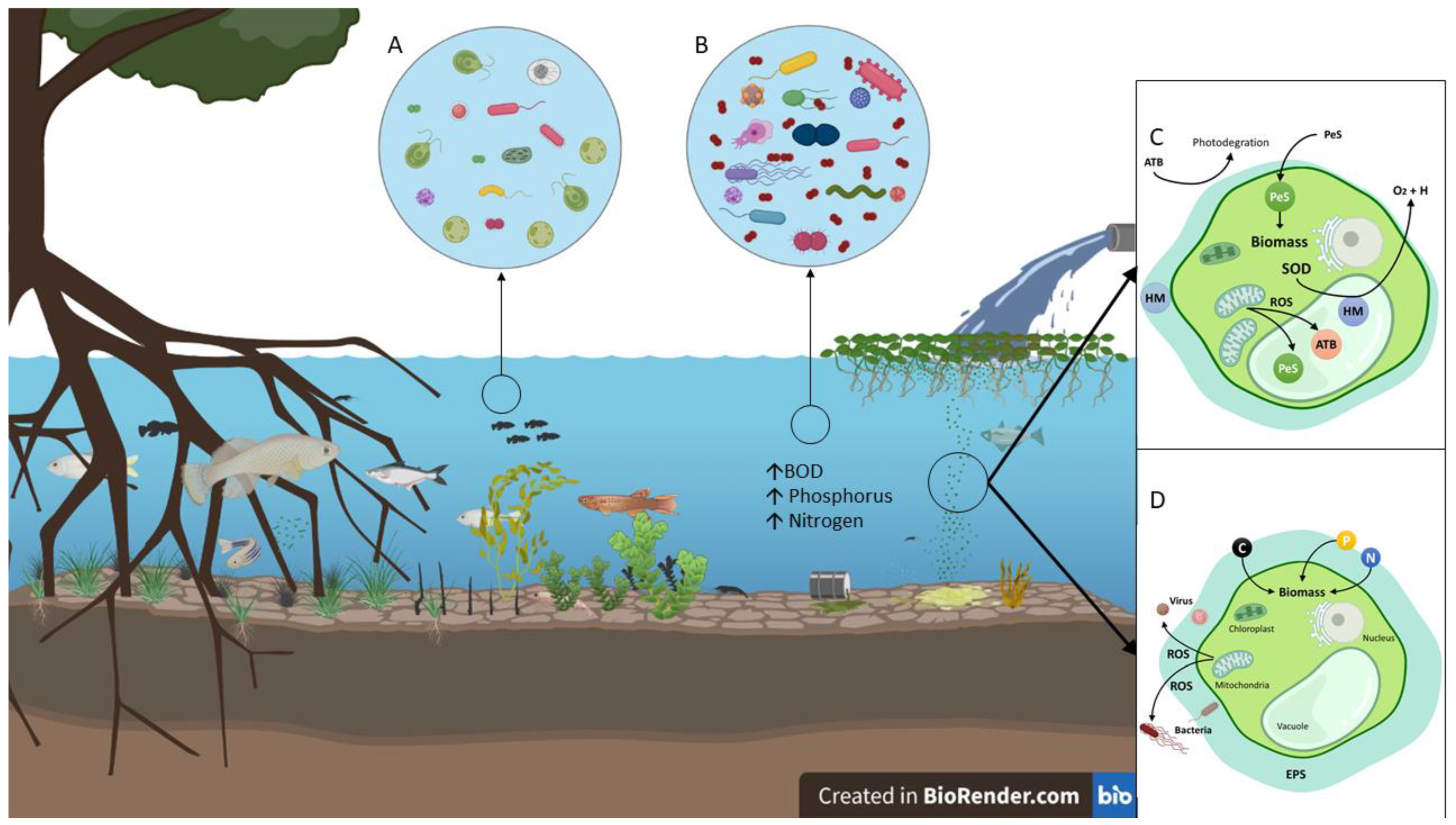 Resources 11 00015 g001 Resources 11 00015 g001