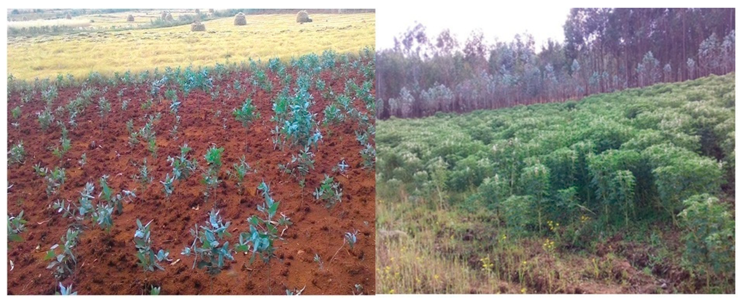 Resources 11 00071 g002