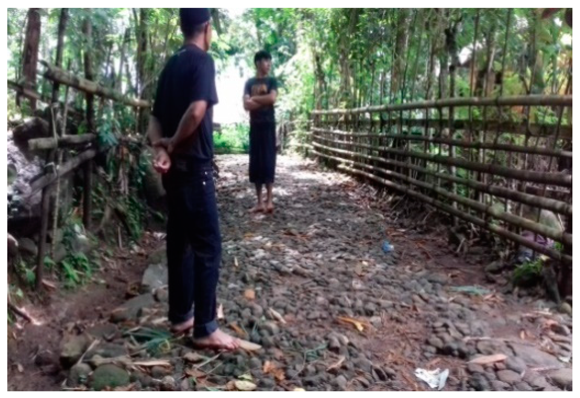 Resources 11 00106 g005 Resources 11 00106 g005