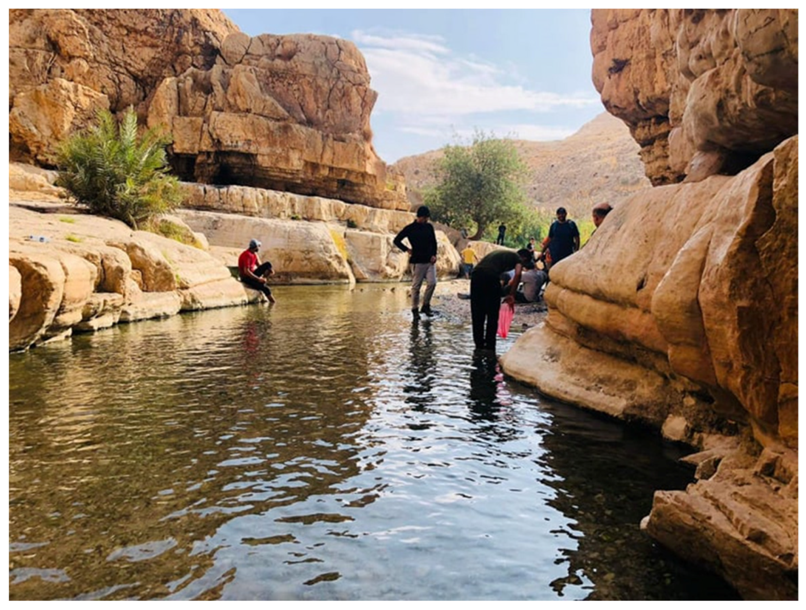 Resources 11 00110 g003 Resources 11 00110 g003