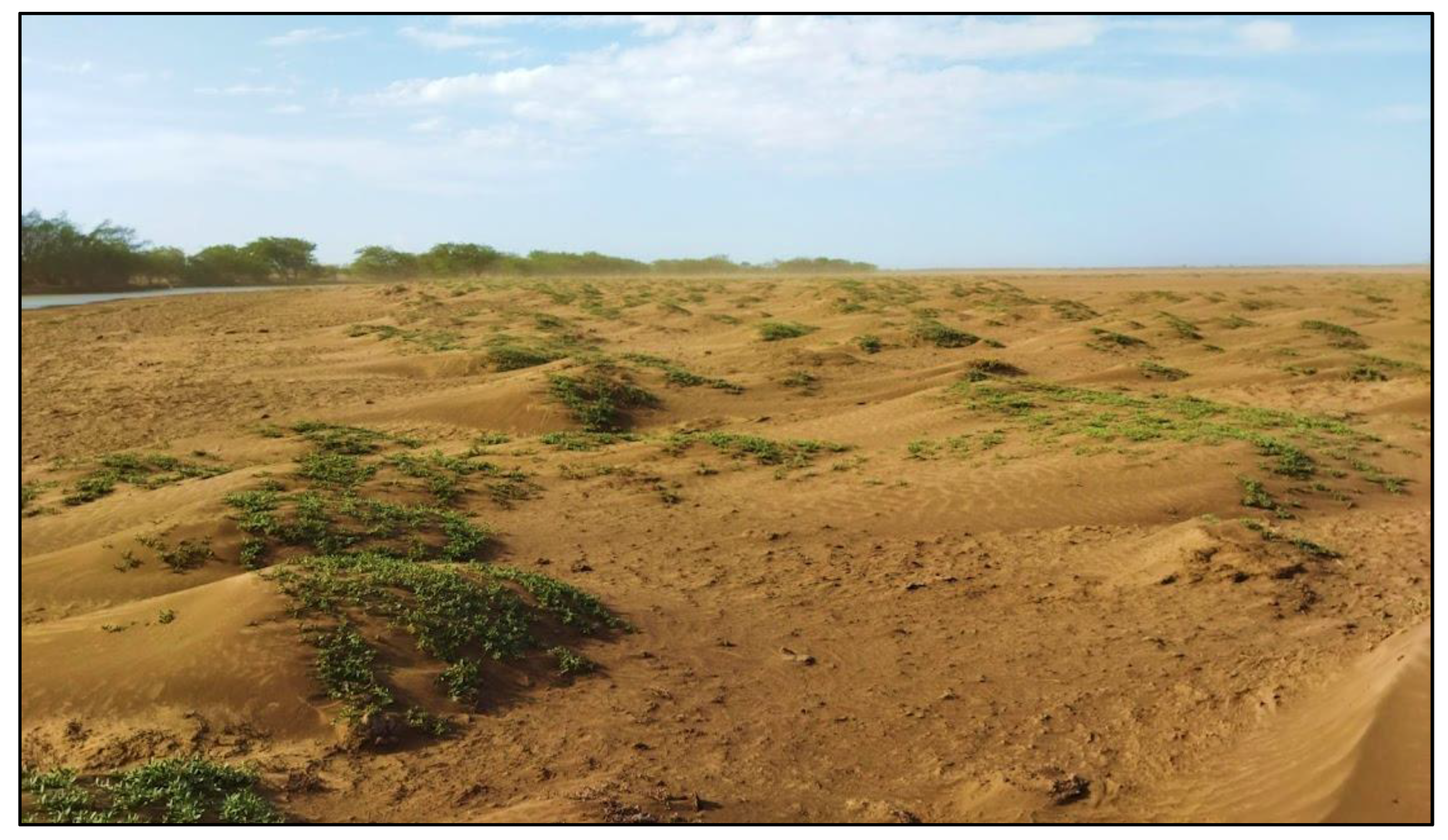 Resources 12 00013 g007