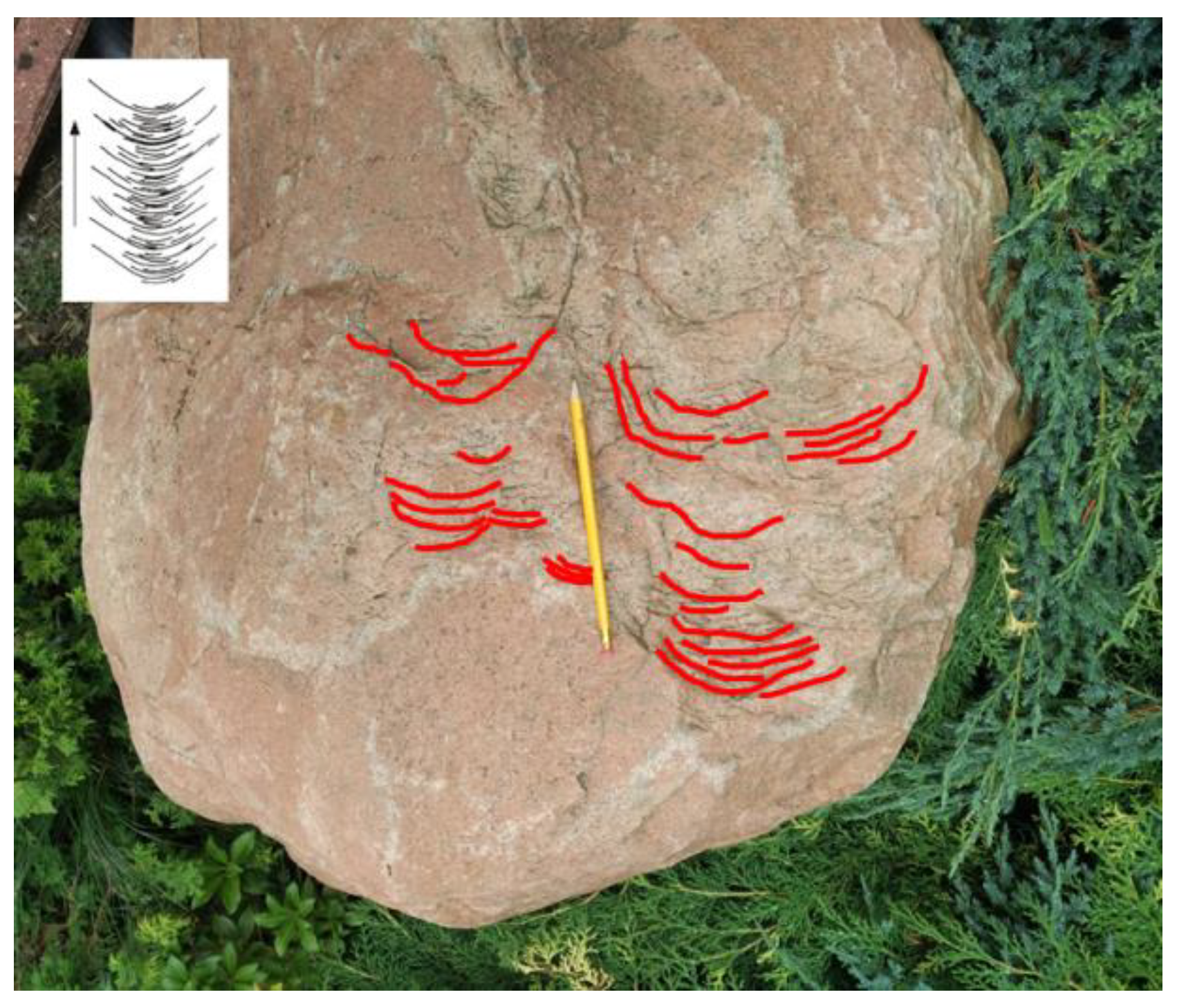 Resources 12 00071 g008 Resources 12 00071 g008