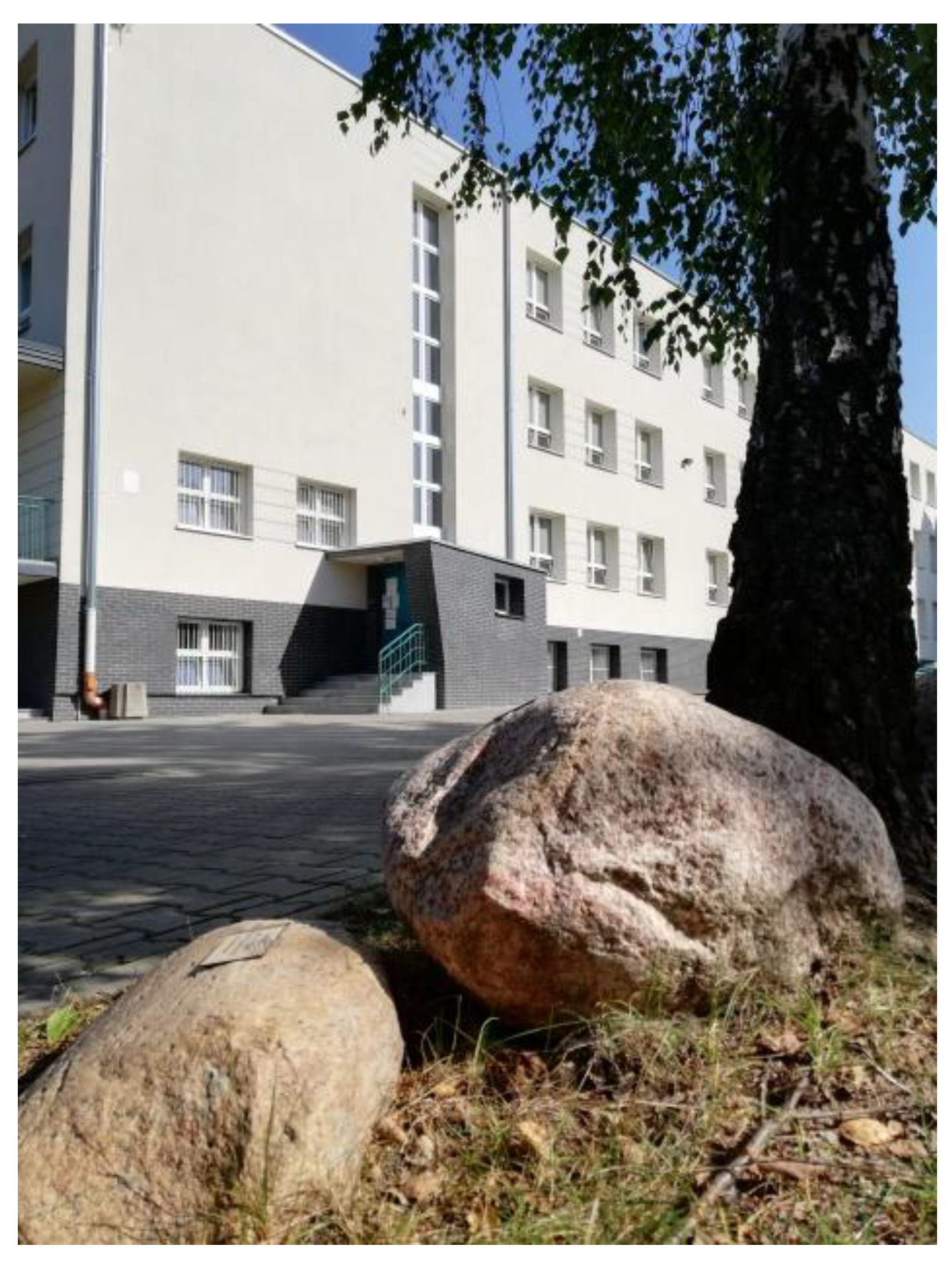 Resources 12 00071 g011 Resources 12 00071 g011