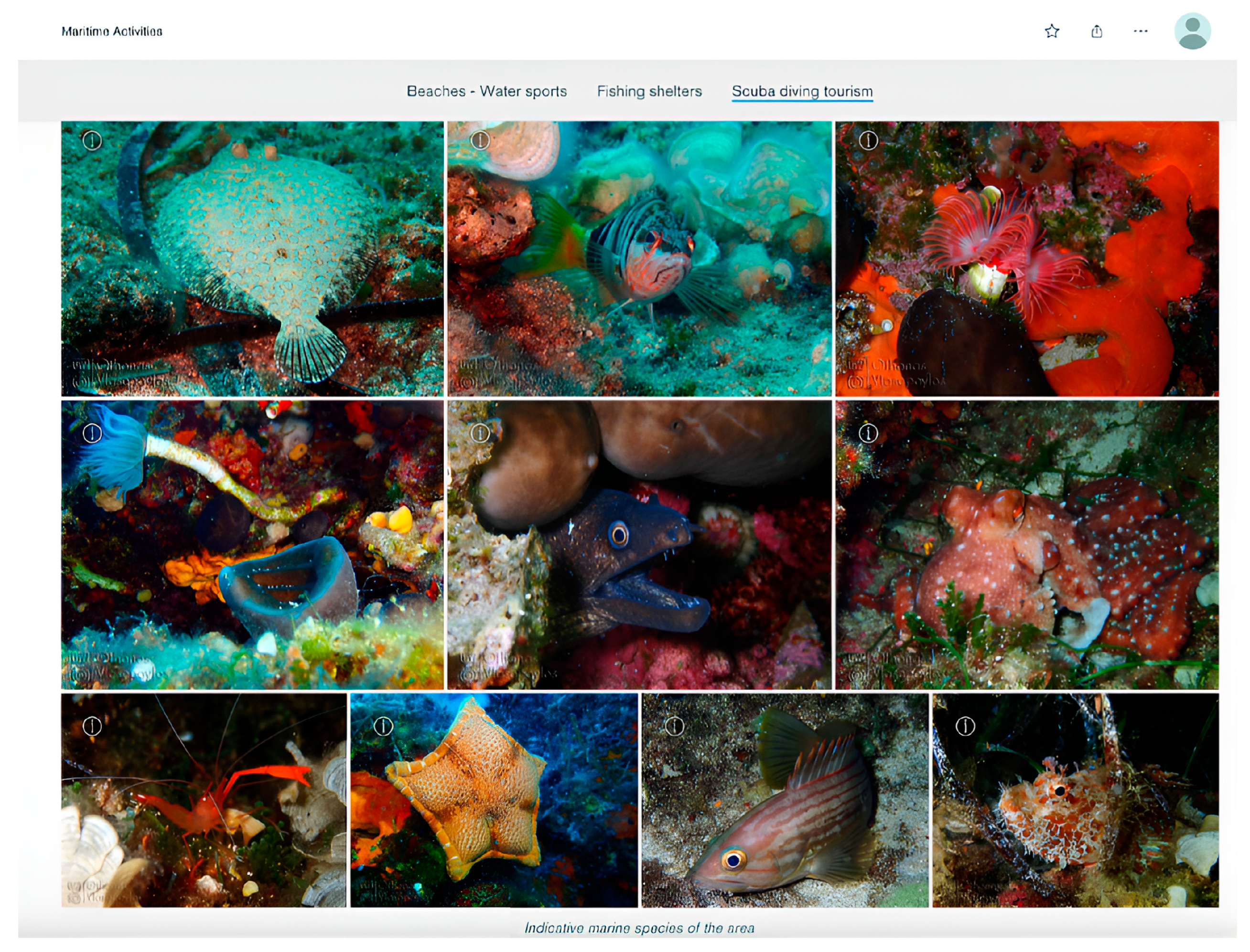 Resources 12 00074 g013