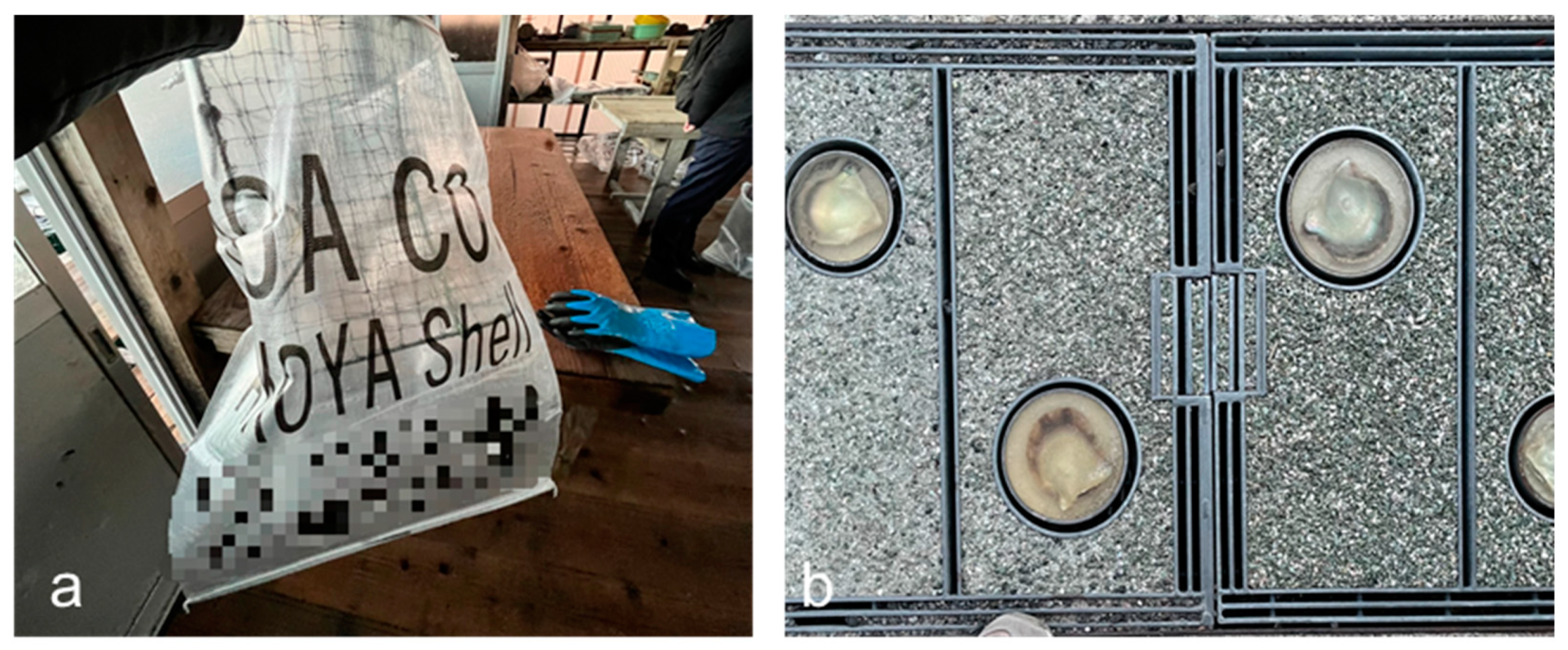 Resources 12 00075 g005