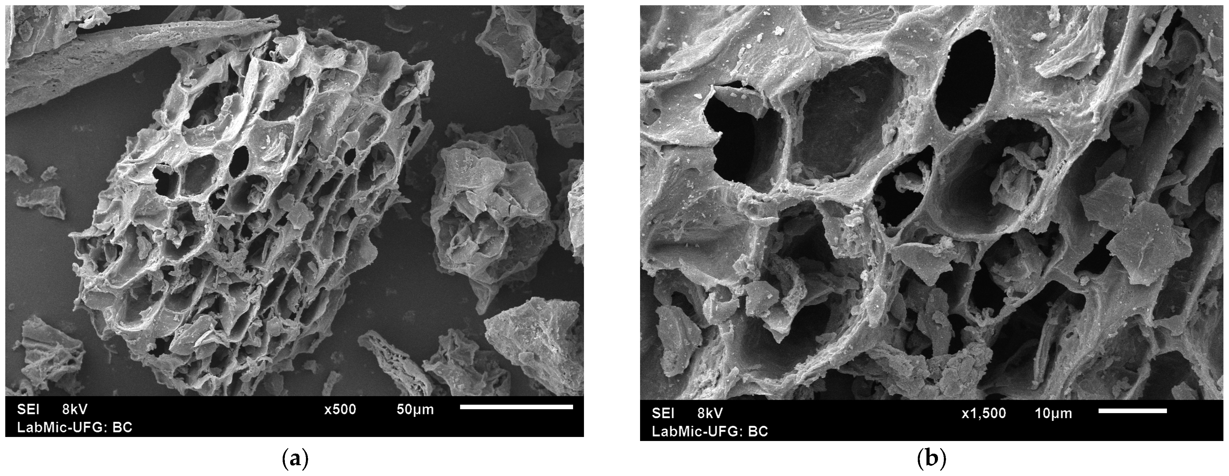 Resources 12 00084 g002