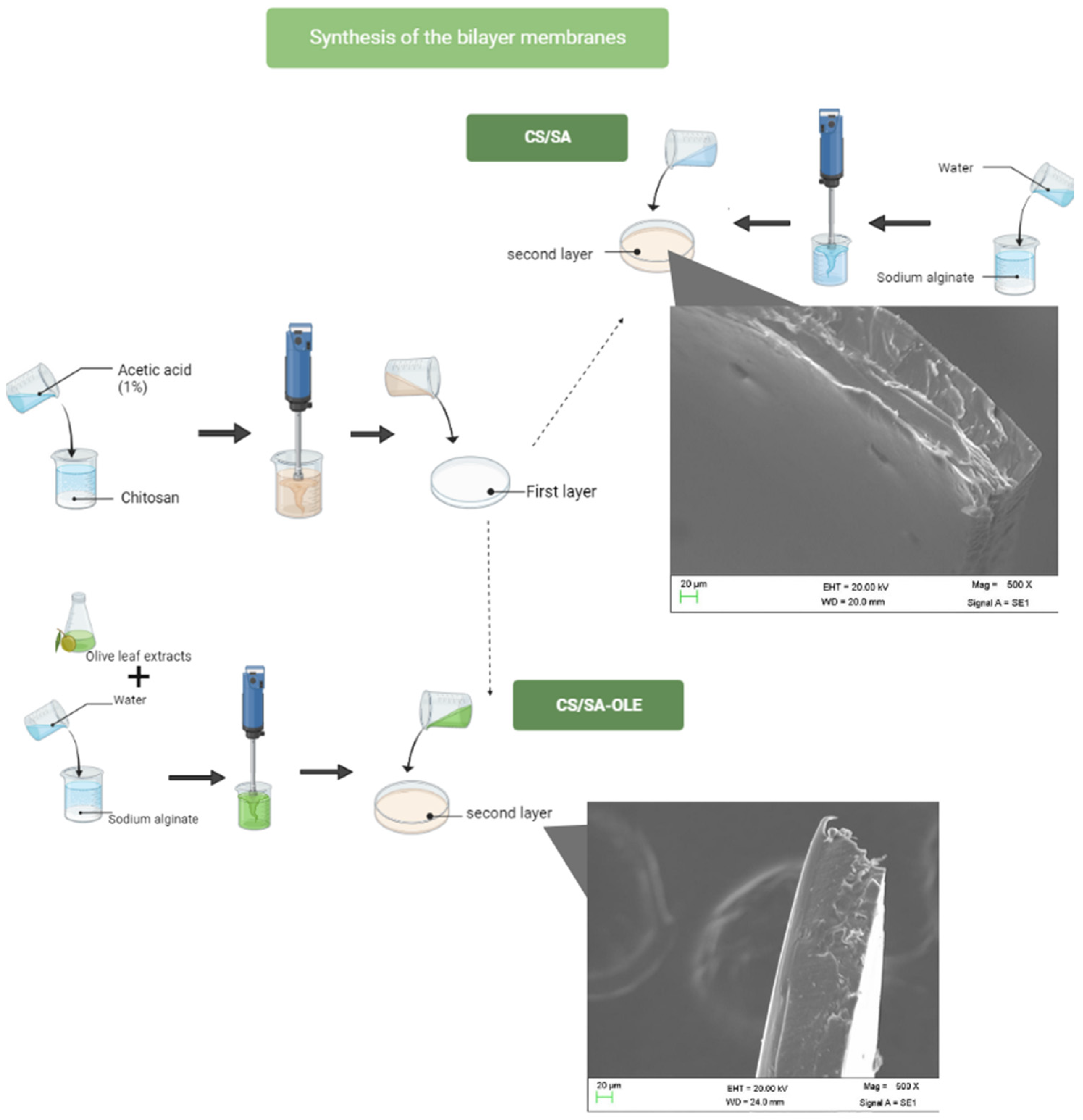 Resources 12 00097 g001