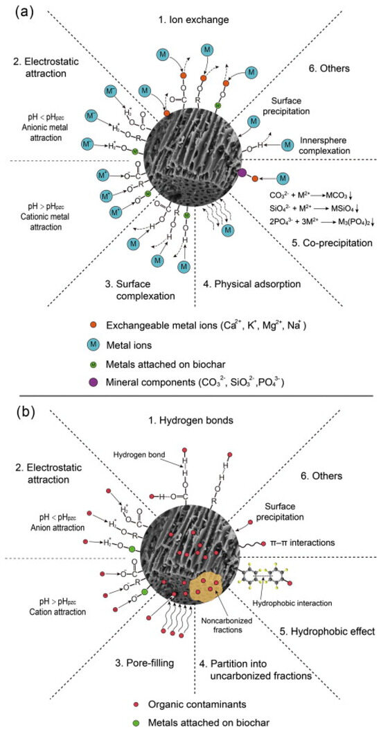 Resources 13 00008 g005