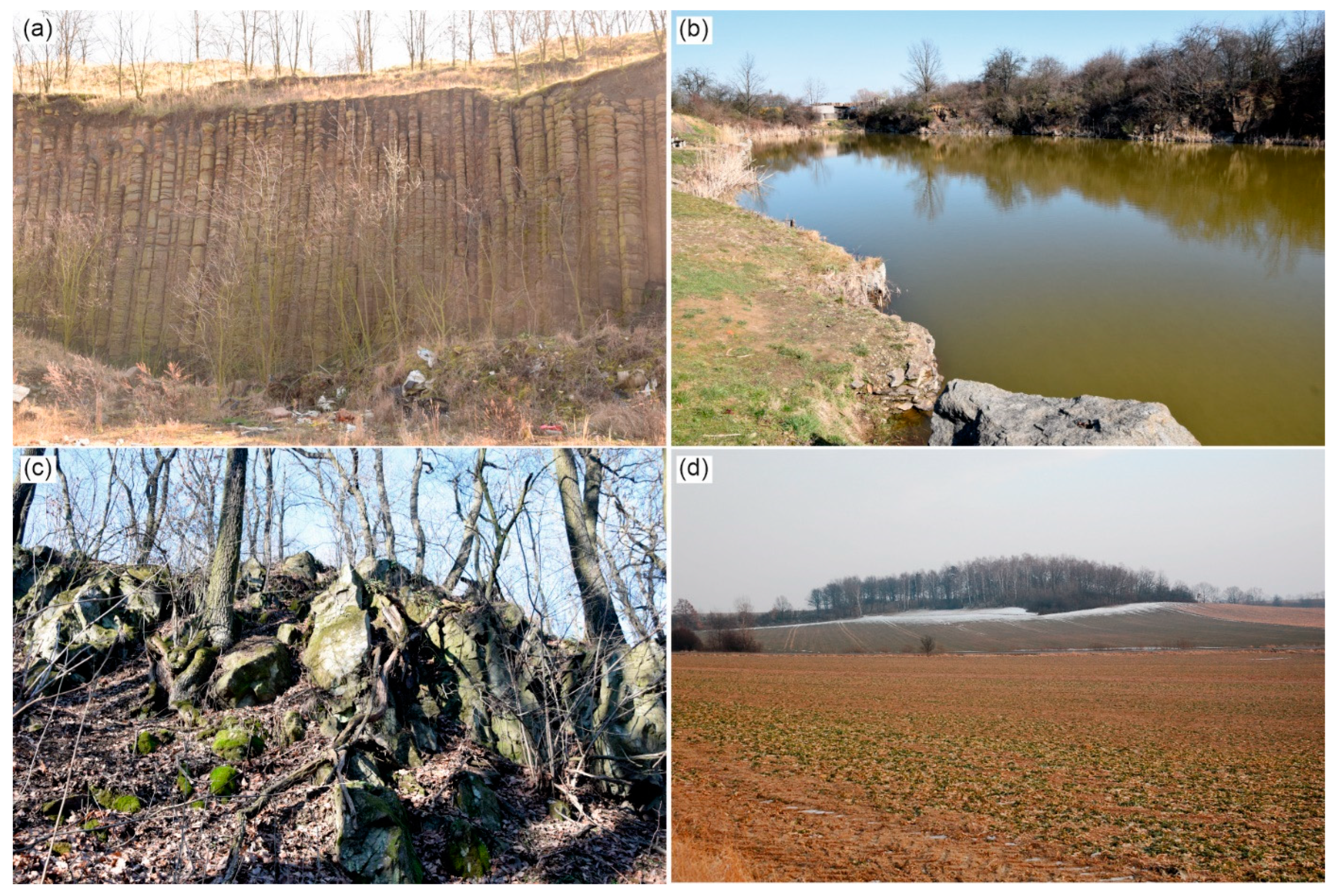 Resources 13 00023 g004