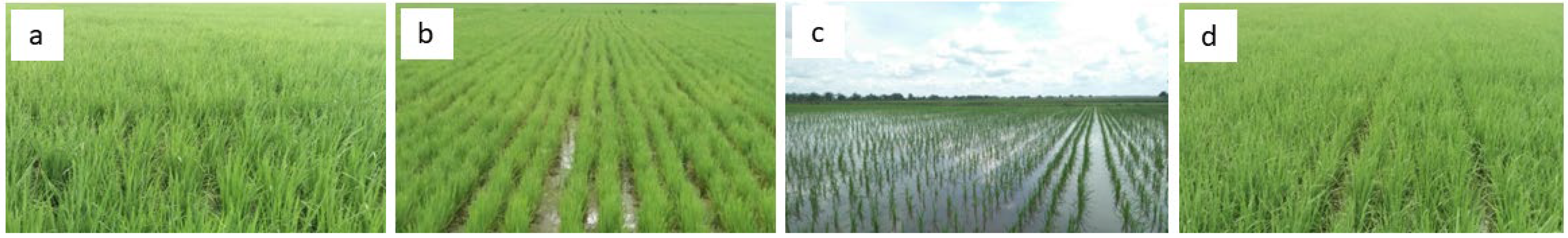 Resources 13 00036 g008