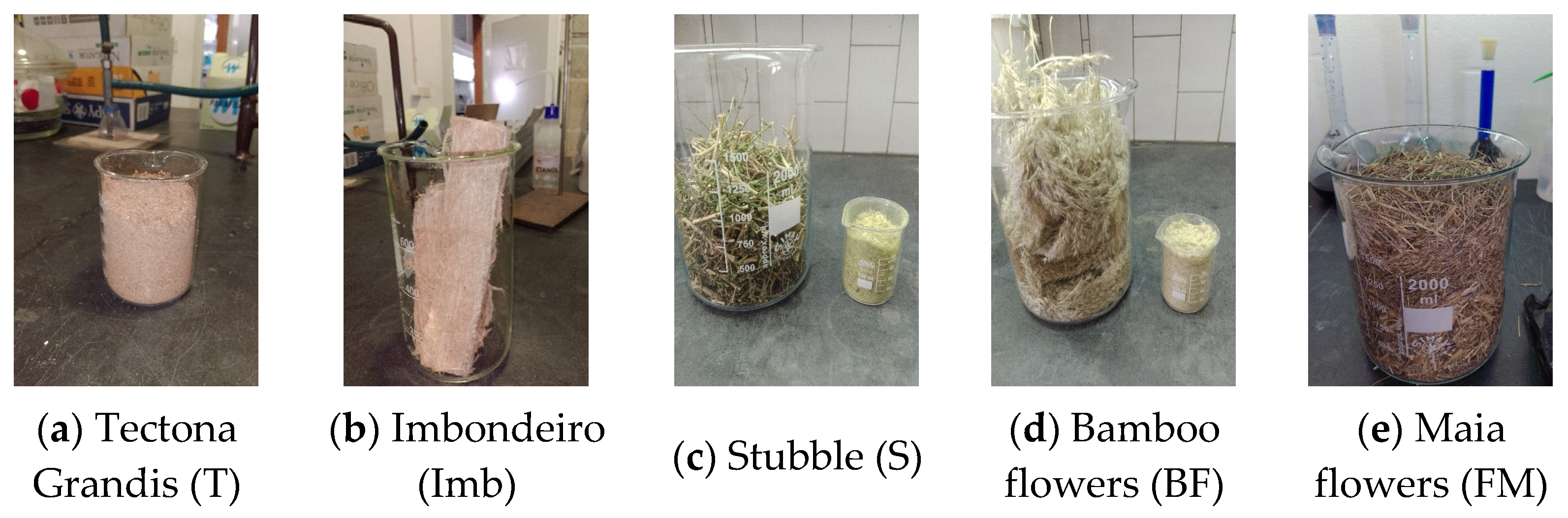 Resources 13 00037 g001