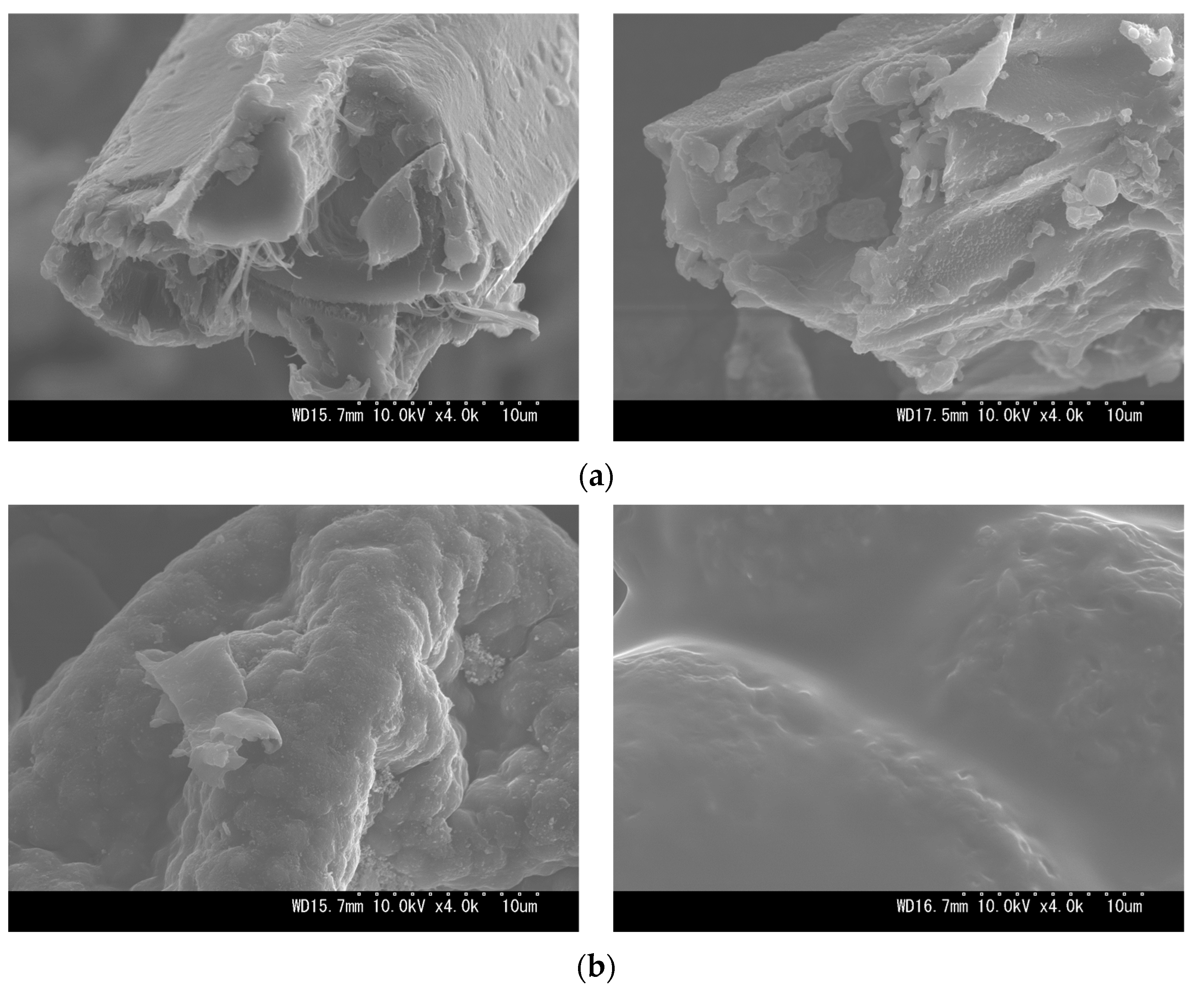 Resources 13 00049 g0a1