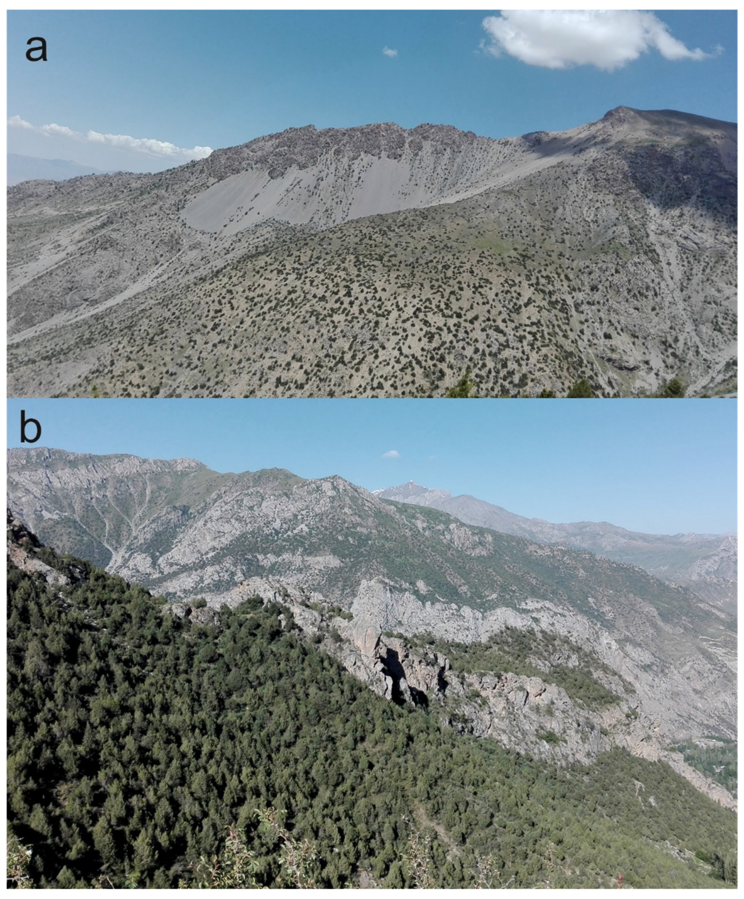 Resources 13 00059 g006