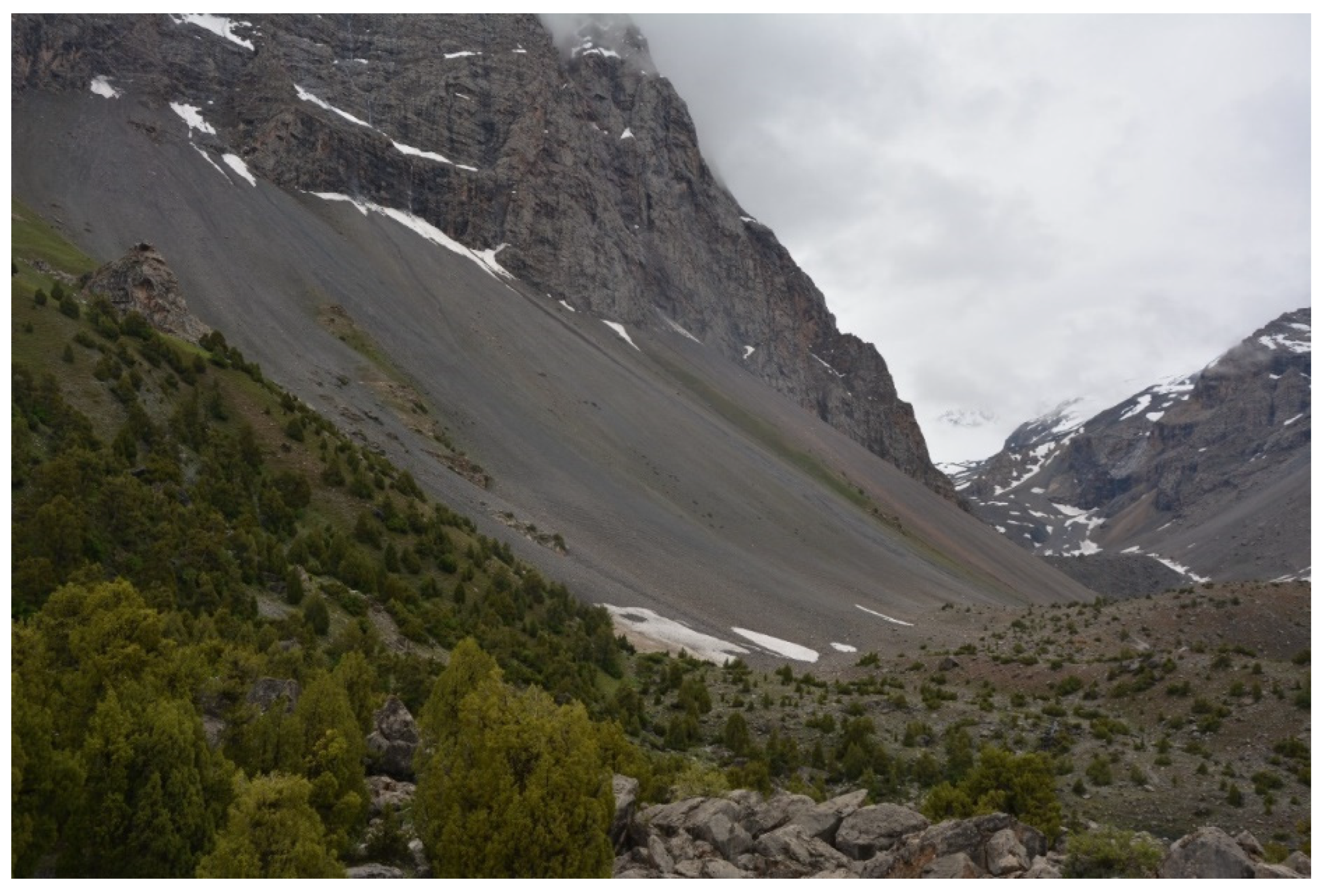 Resources 13 00059 g008