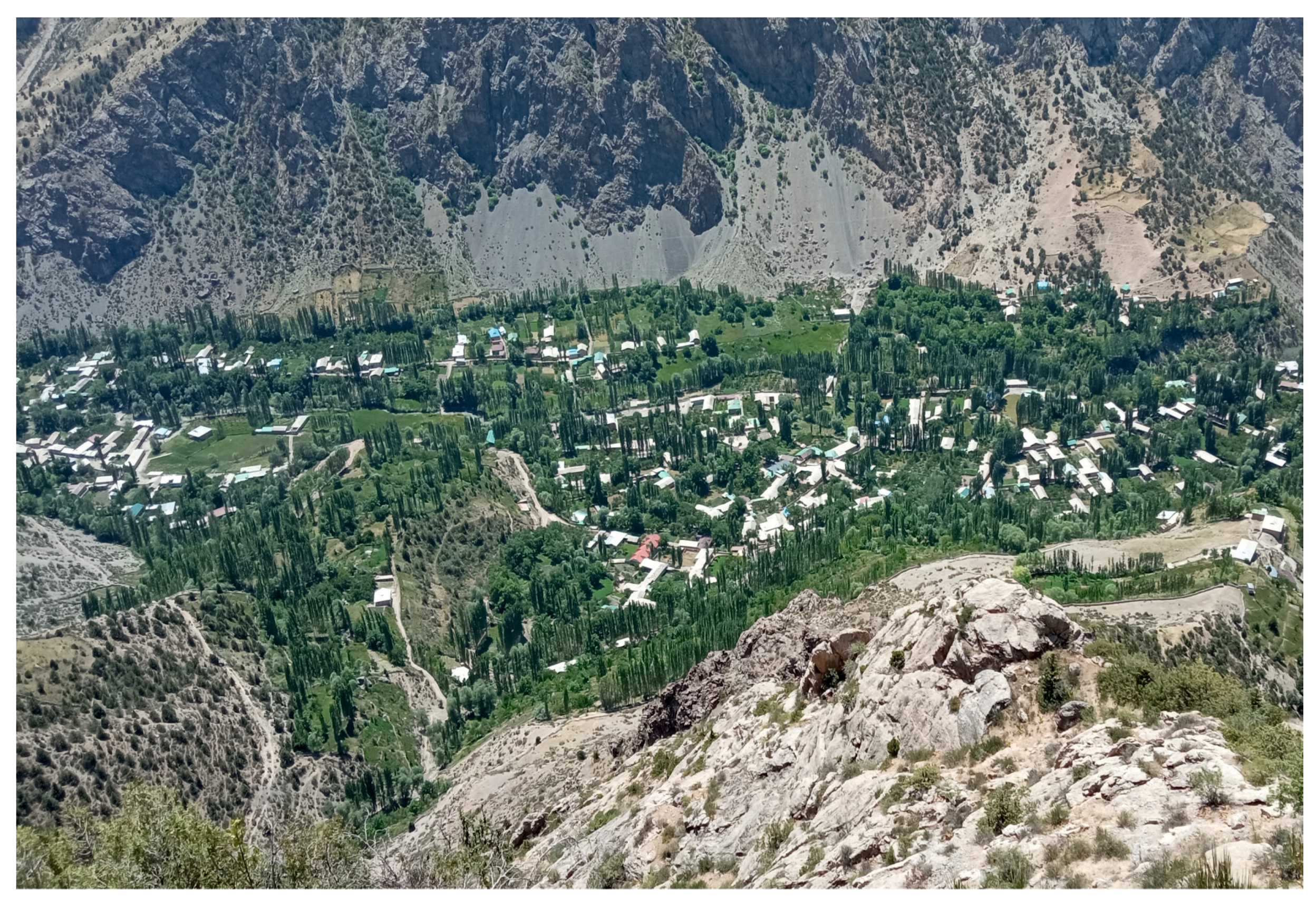 Resources 13 00059 g012