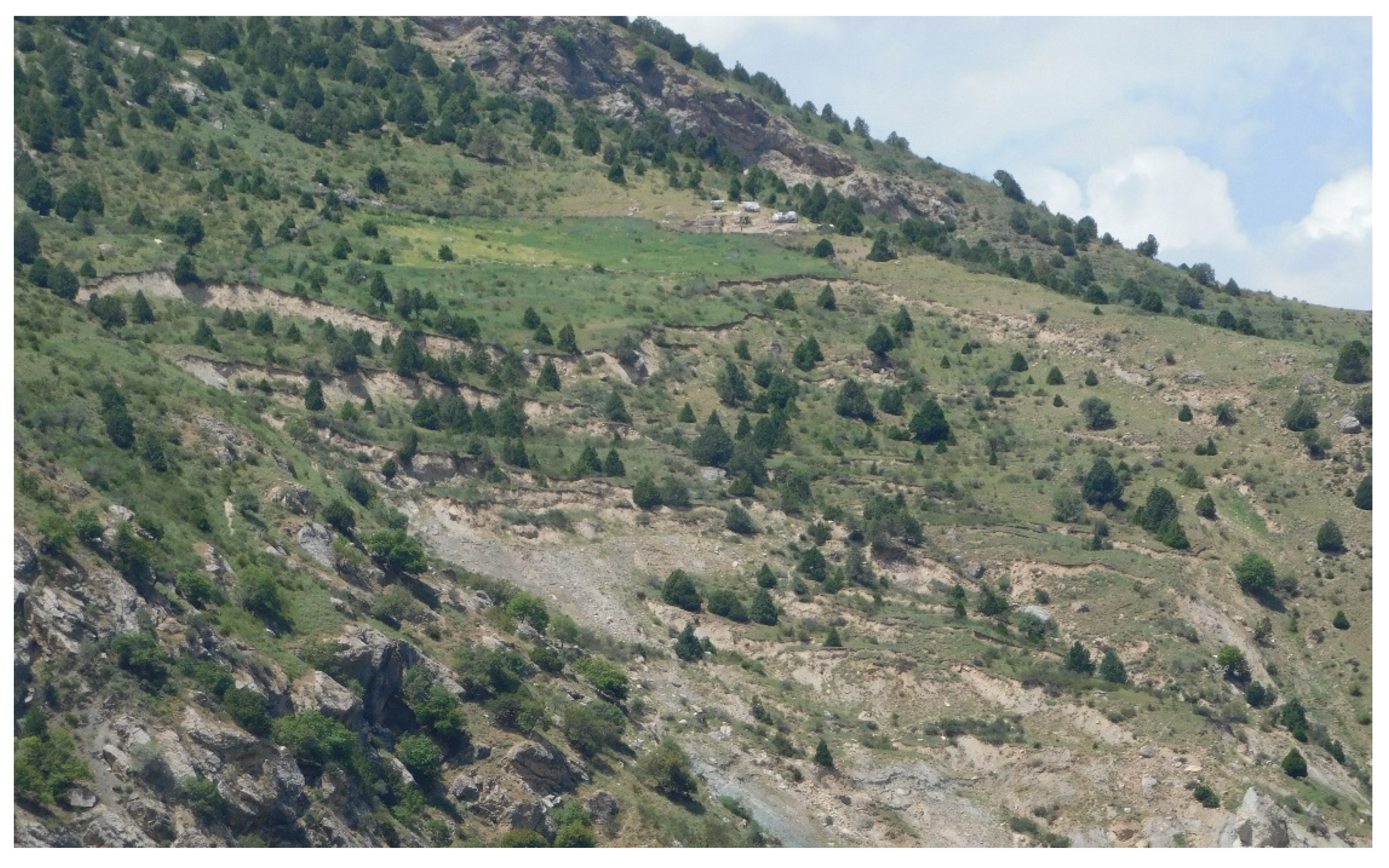 Resources 13 00059 g013