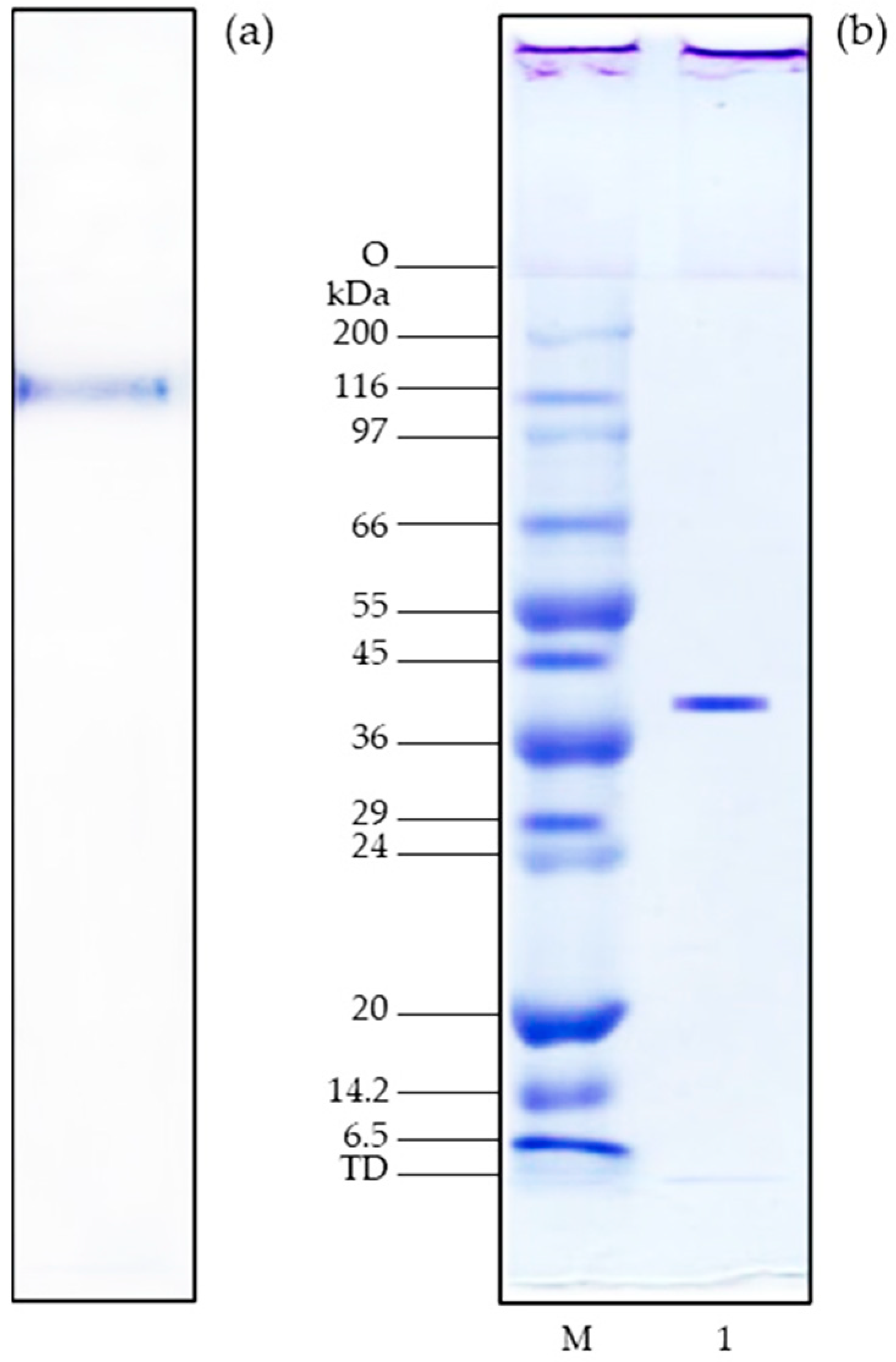 Resources 13 00067 g002