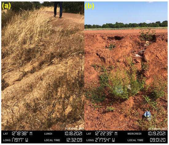 Resources 13 00071 g004