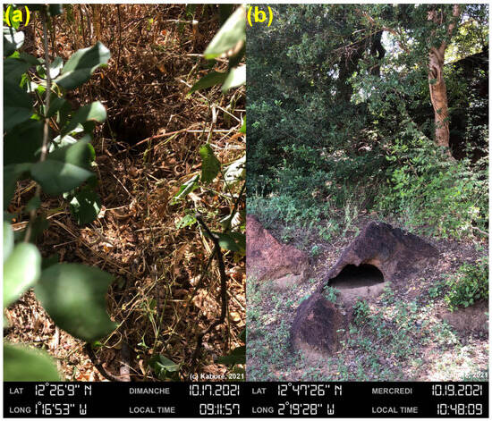 Resources 13 00071 g007