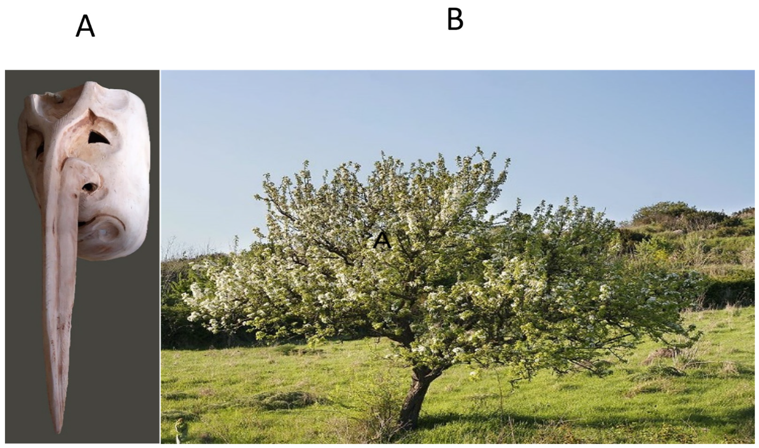 Resources 13 00072 g001