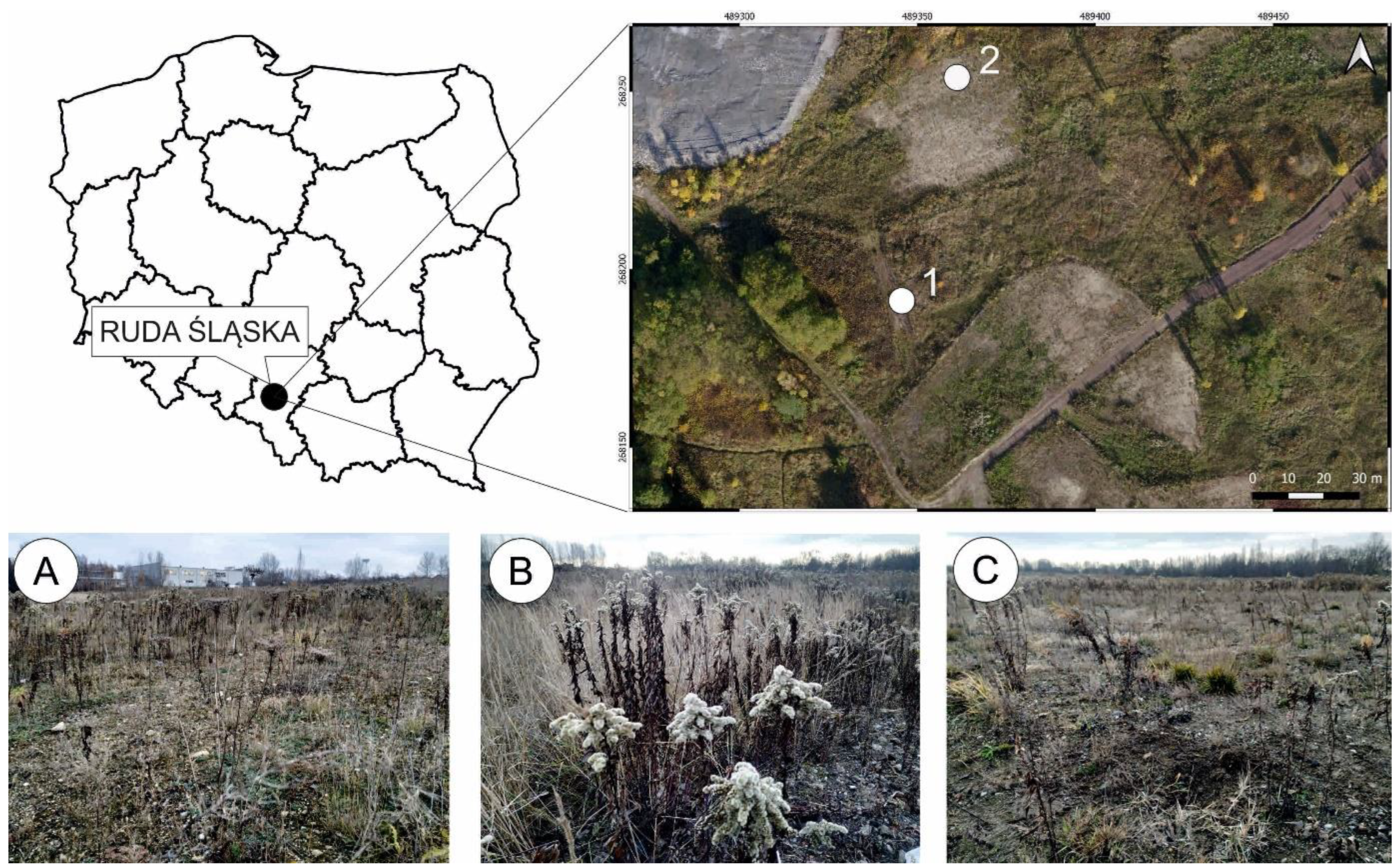 Resources 13 00073 g001