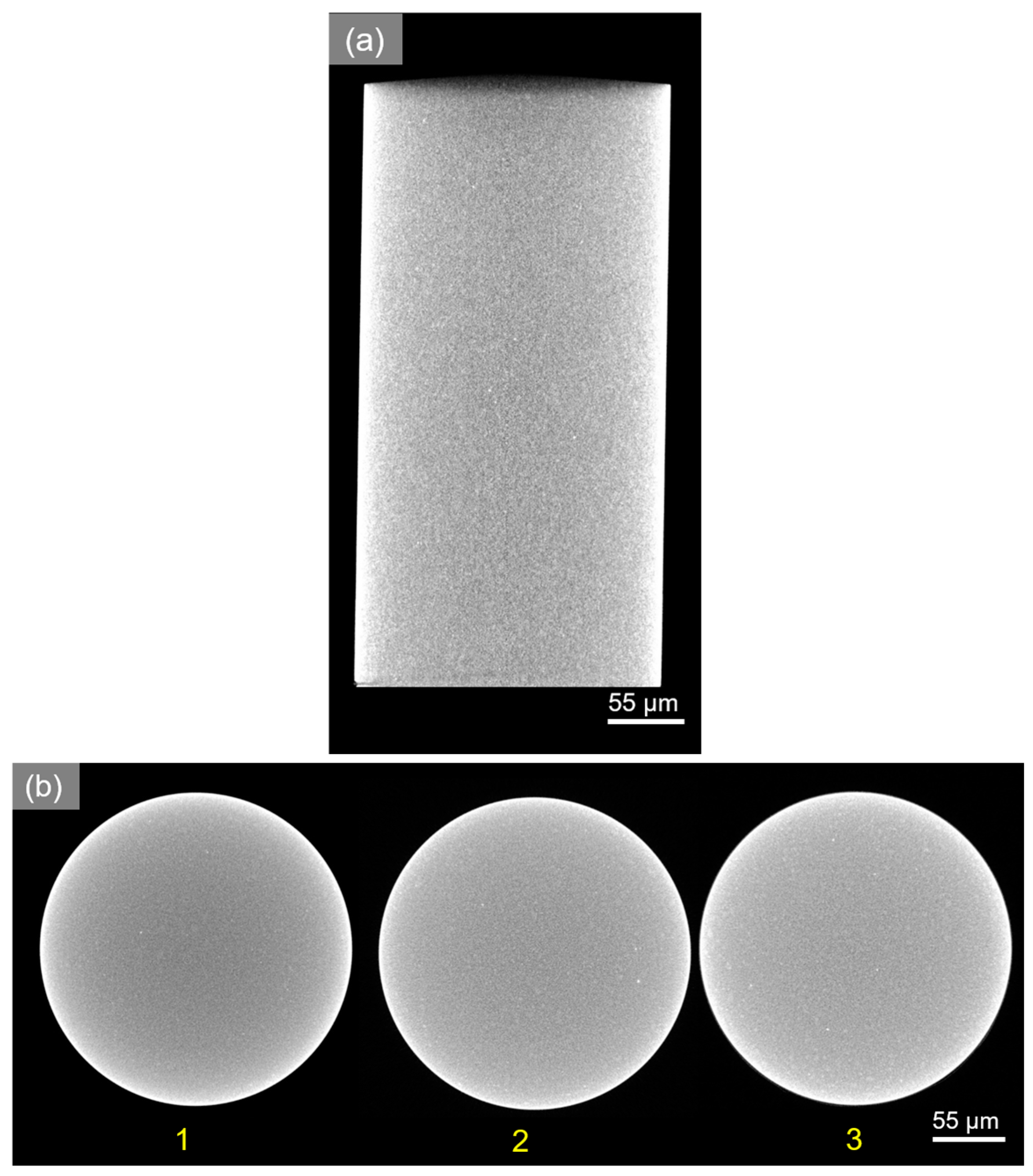 Resources 13 00078 g005