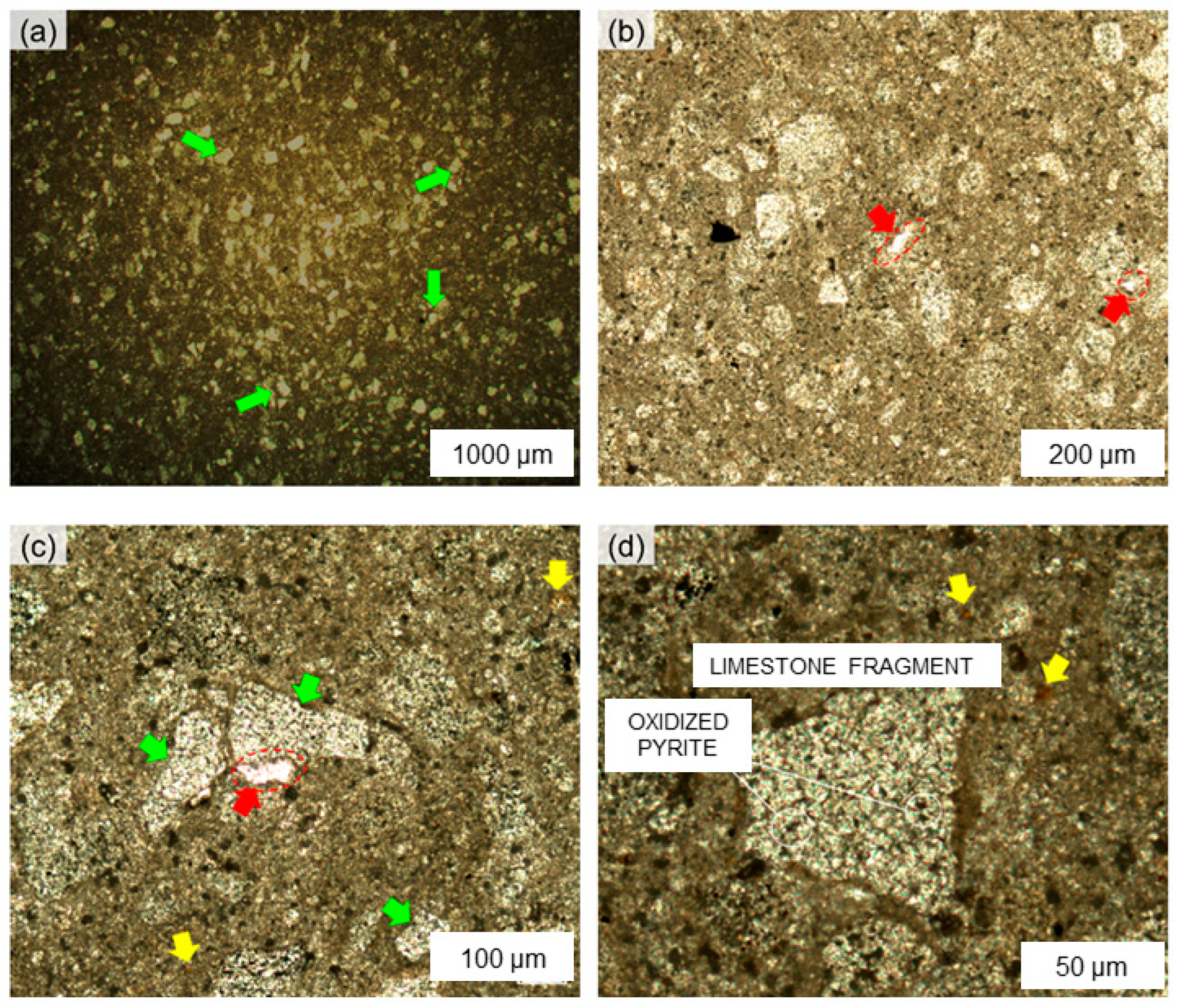 Resources 13 00078 g008