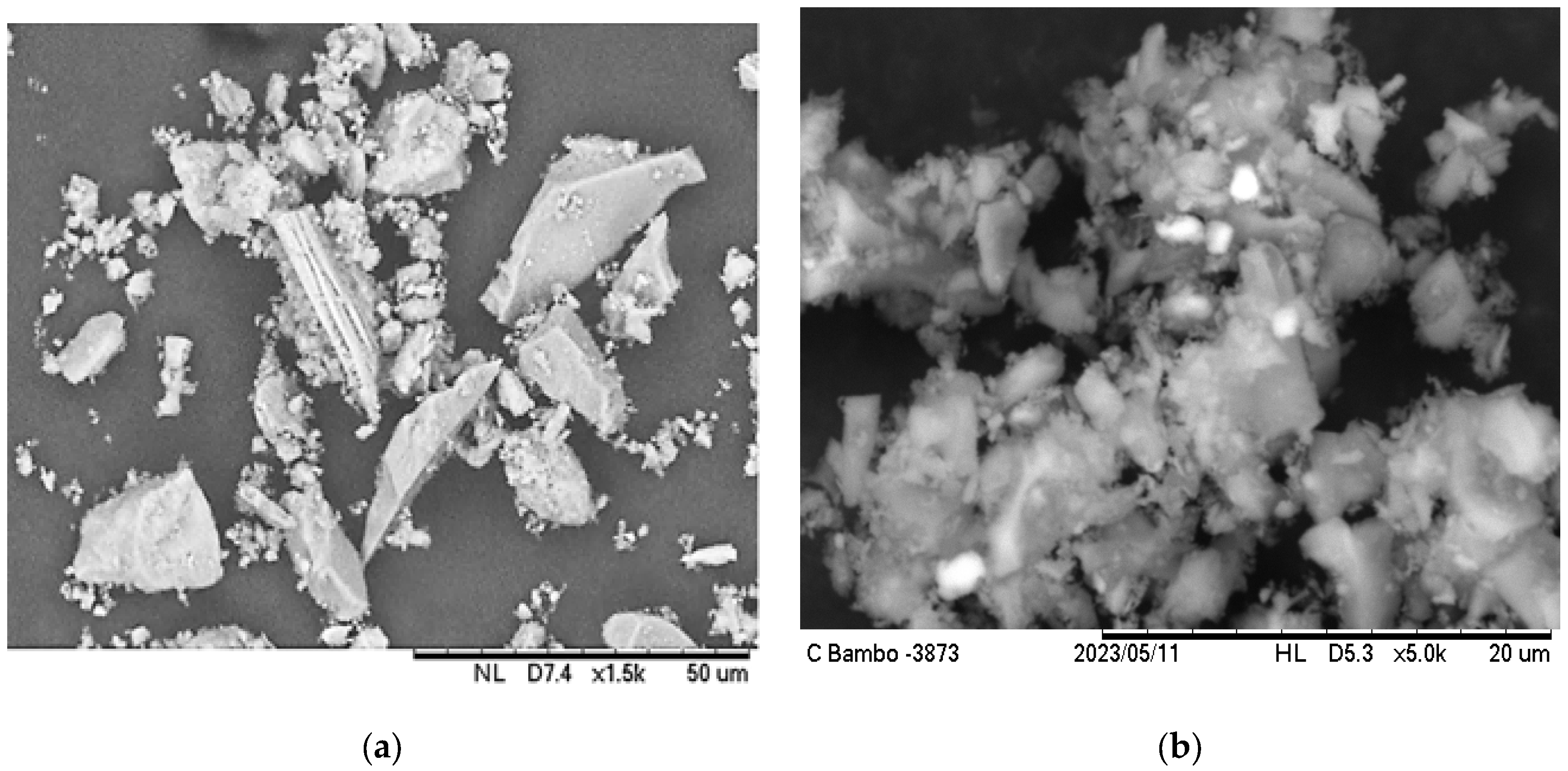 Resources 13 00100 g004