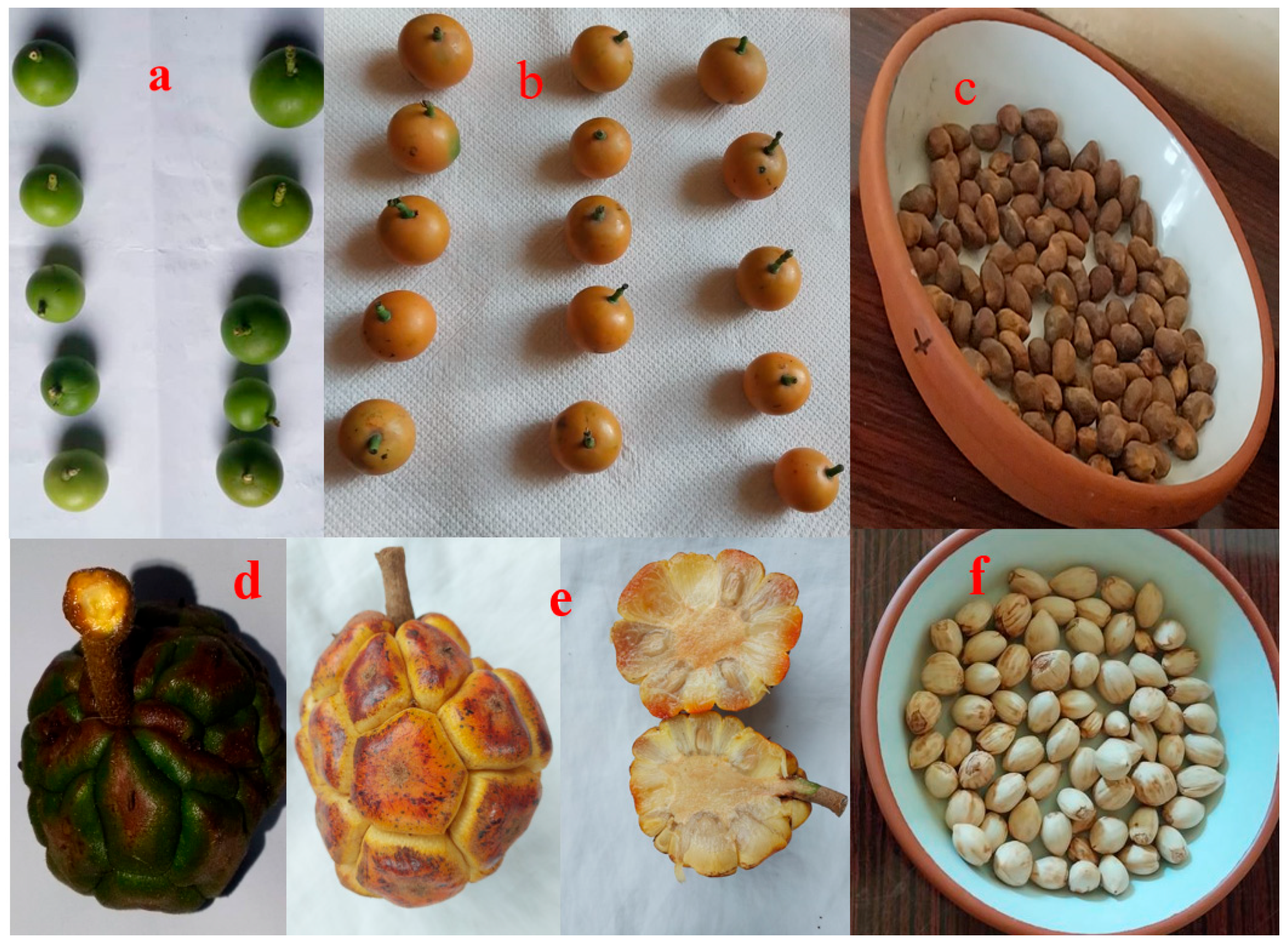 Resources 13 00101 g003