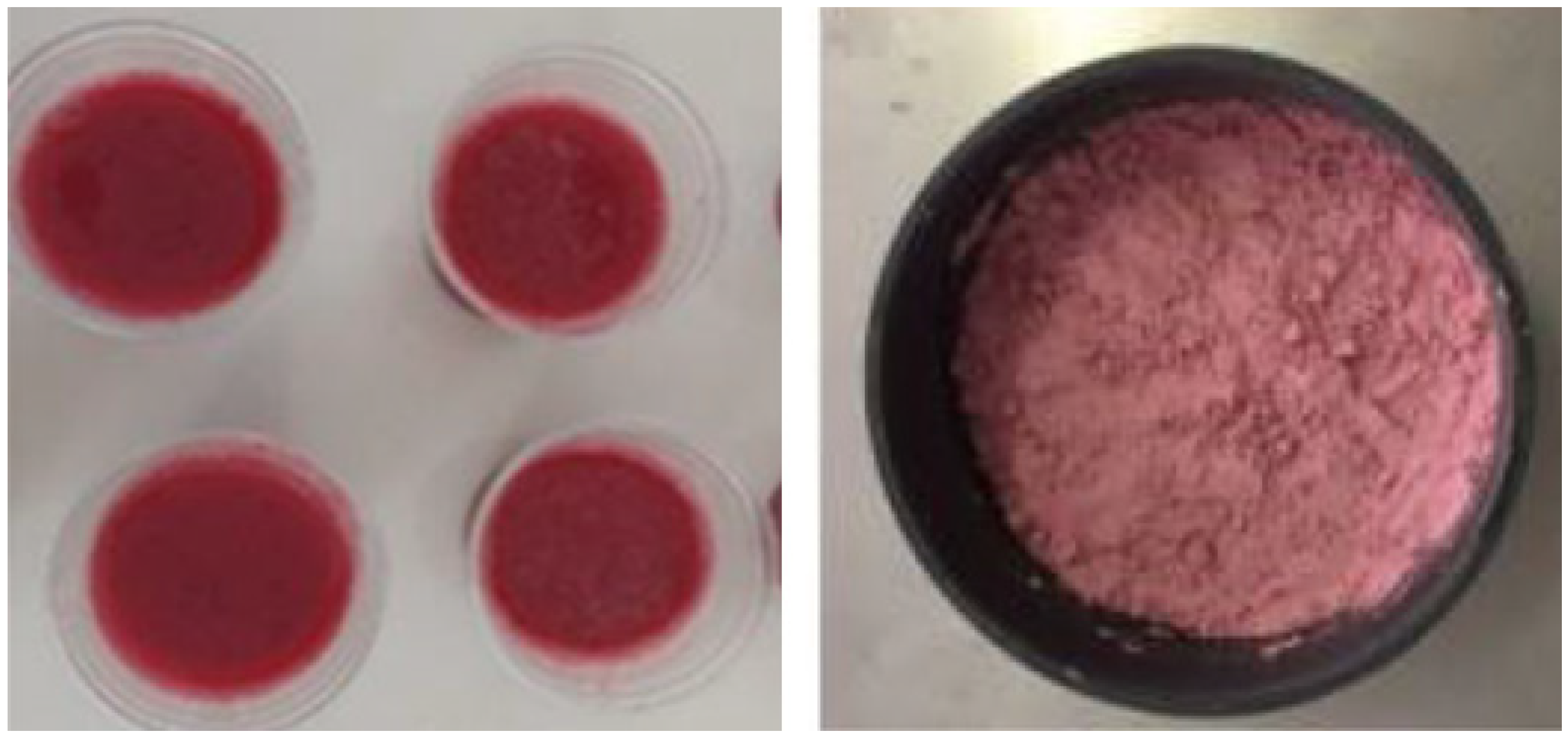 Resources 13 00102 g002