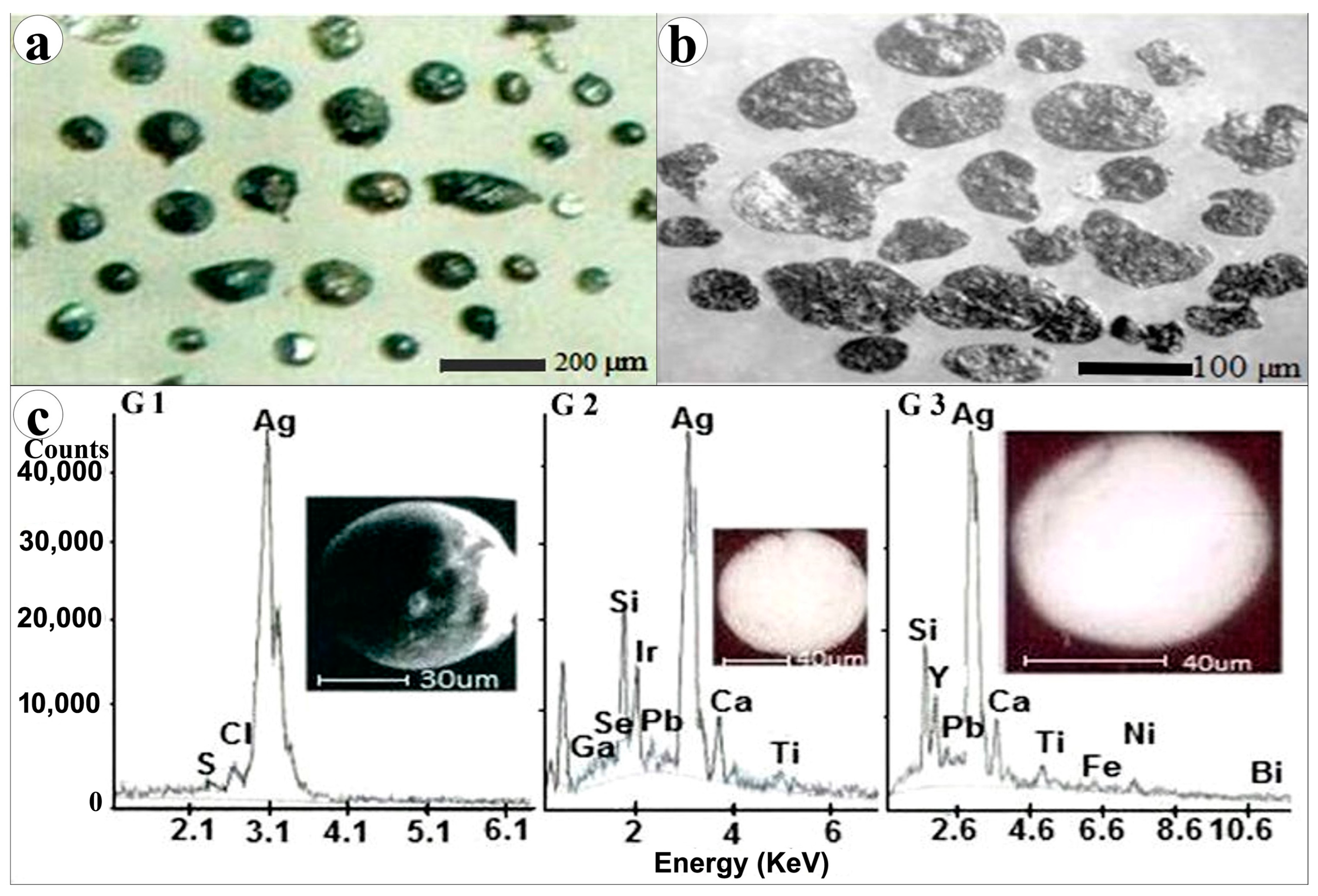 Resources 13 00109 g003