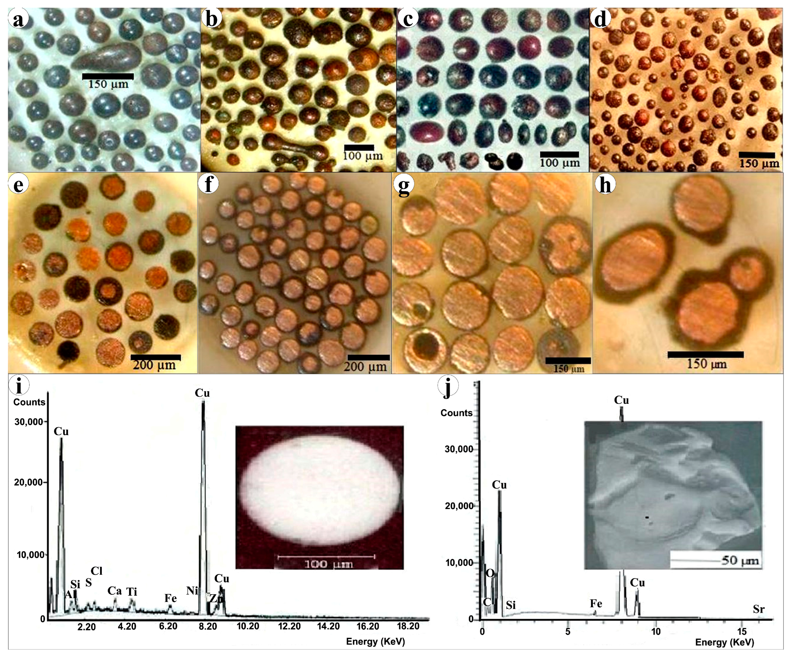 Resources 13 00109 g005