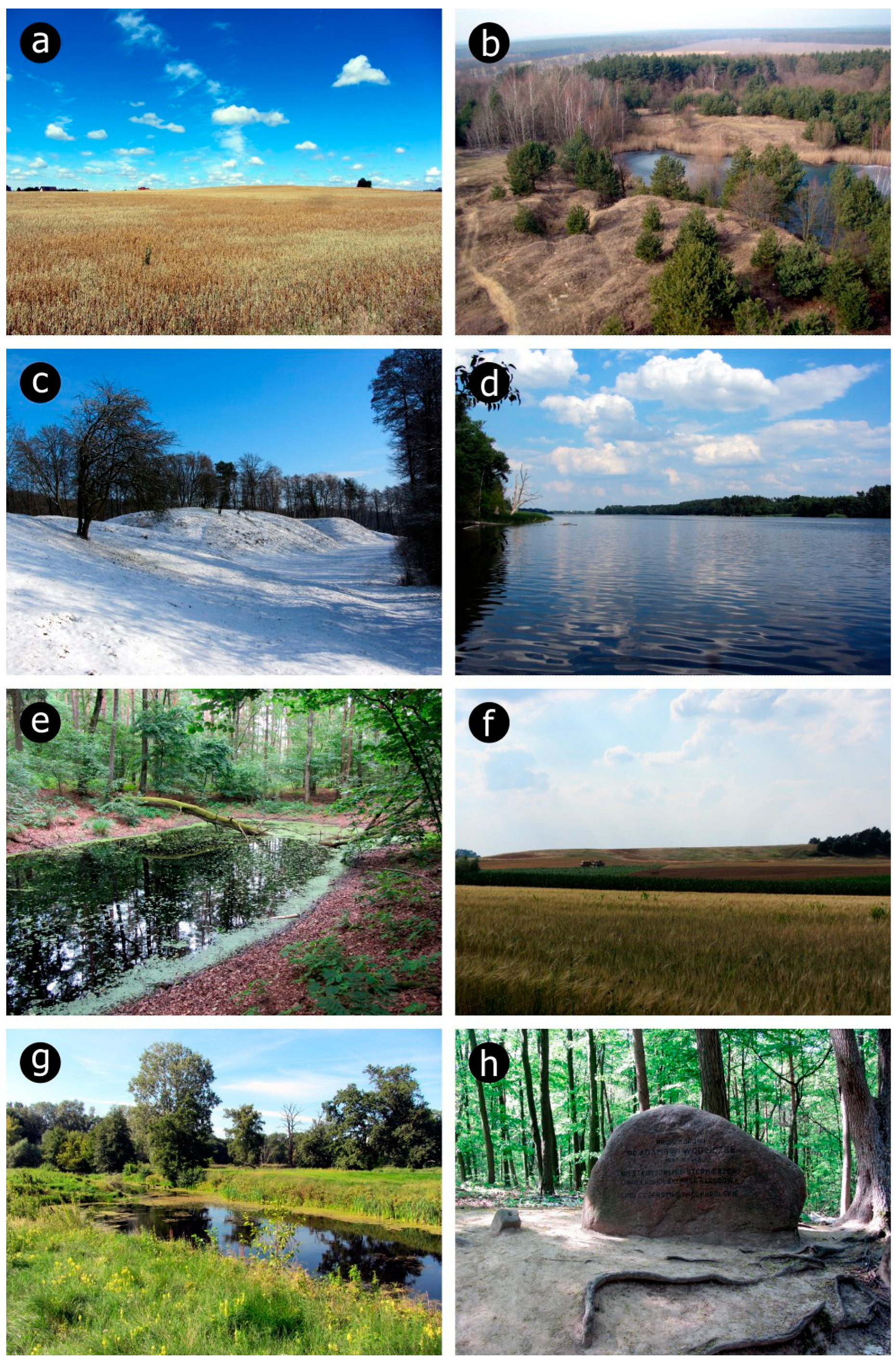 Resources 13 00119 g002