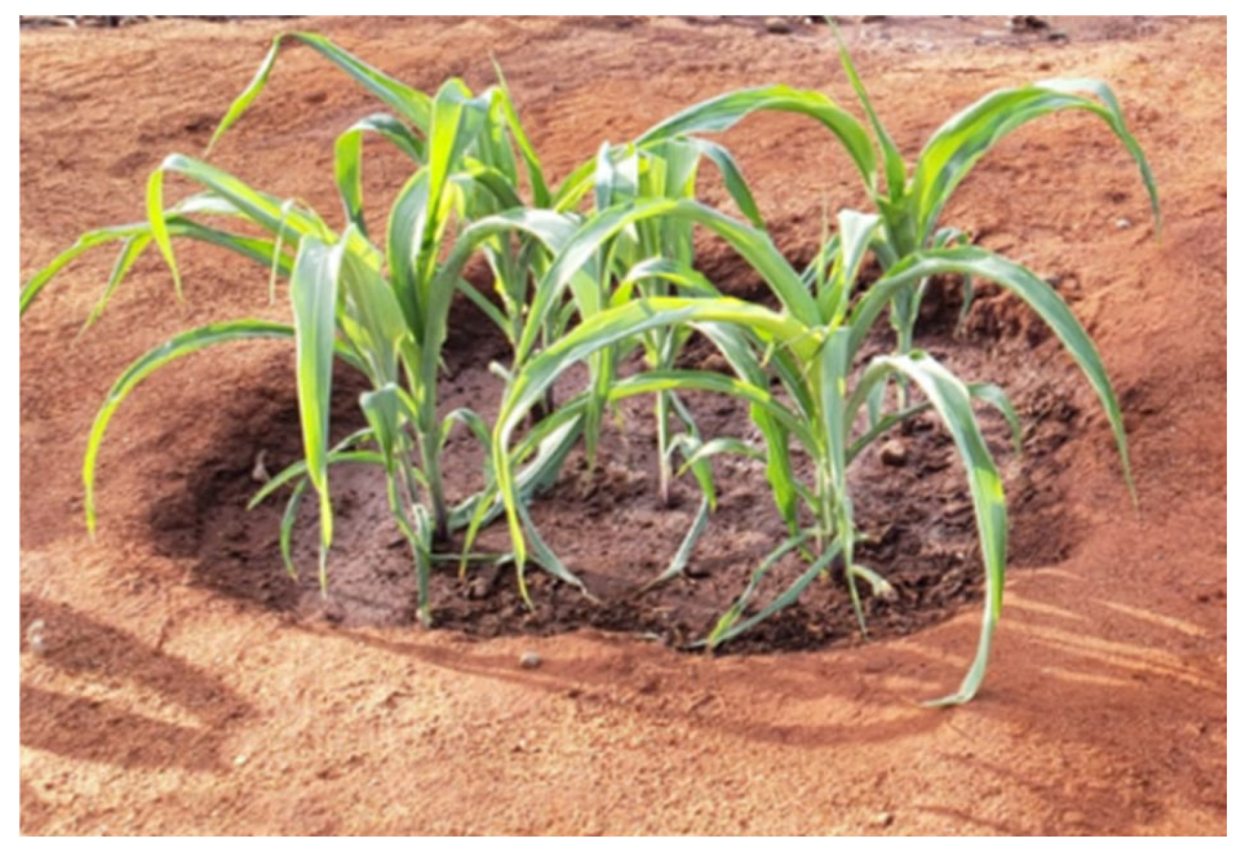 Resources 13 00120 g001