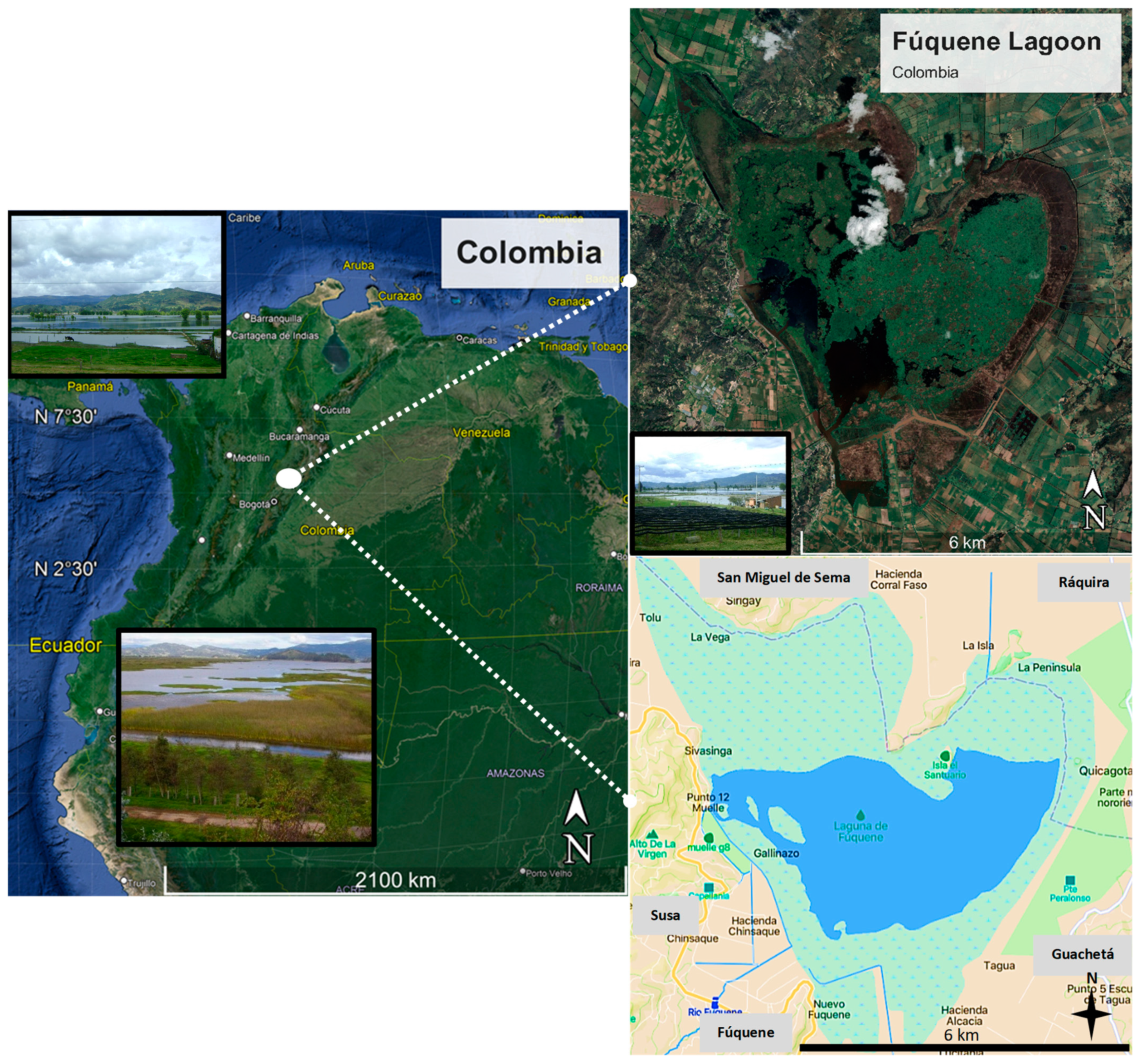 Resources 13 00132 g001