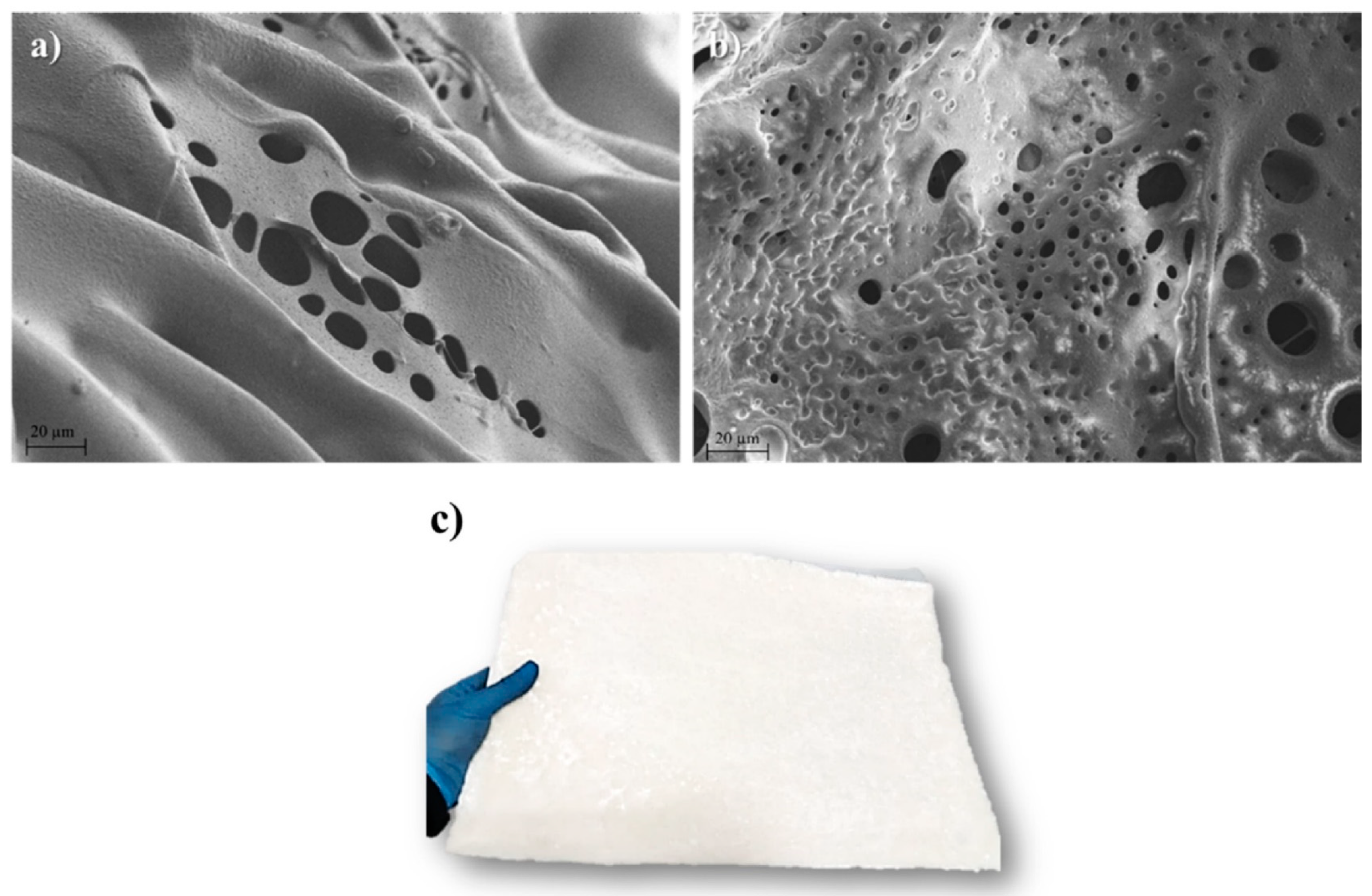 Resources 13 00138 g001