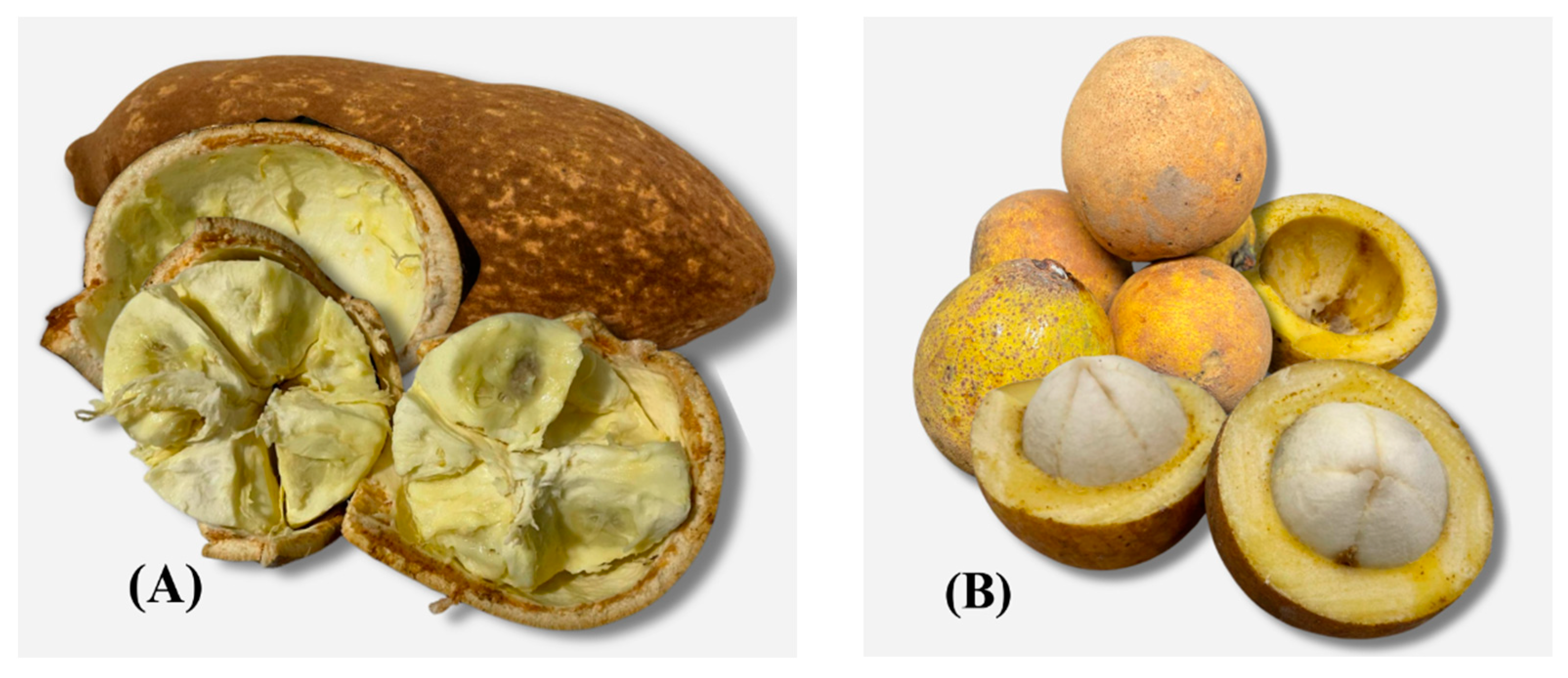 Resources 13 00153 g001