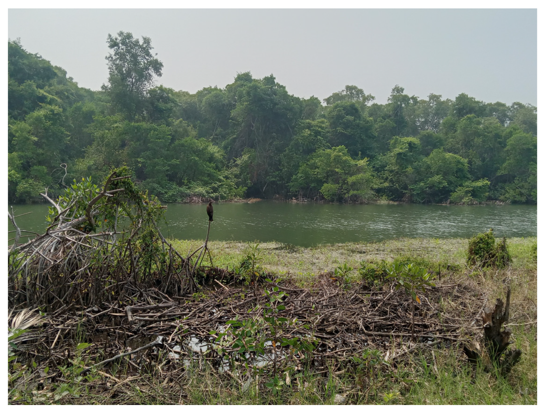 Resources 13 00154 g002 Resources 13 00154 g002