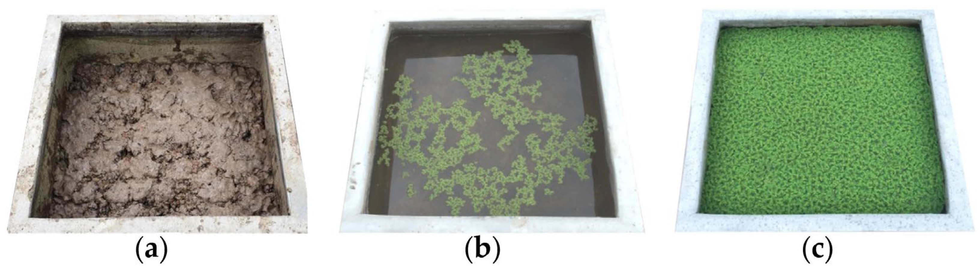 Resources 13 00158 g001