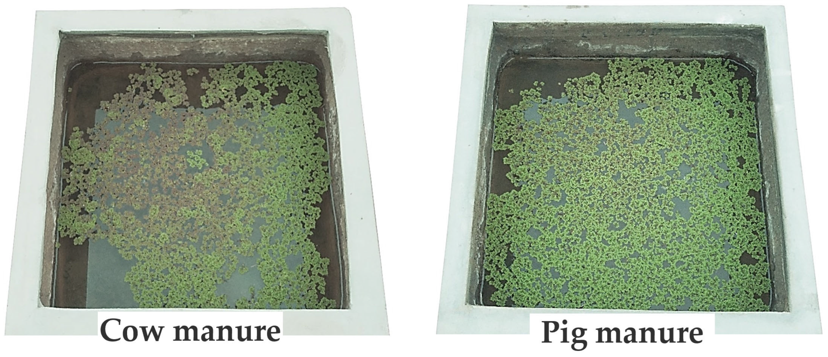 Resources 13 00158 g003