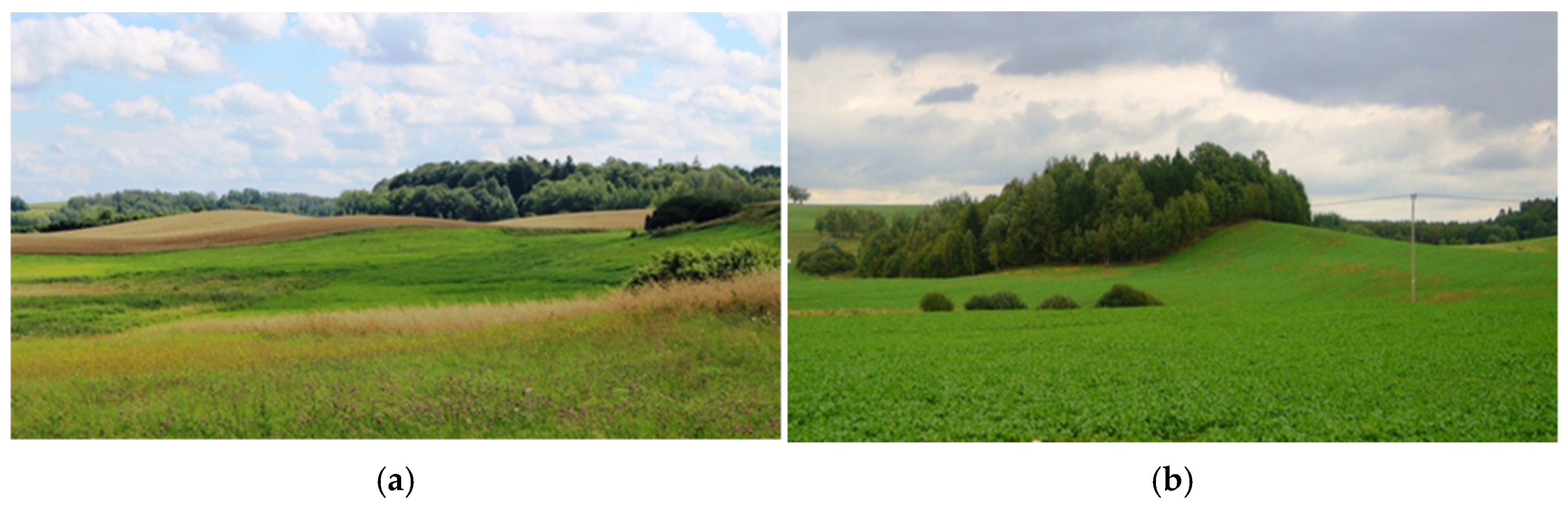 Resources 13 00173 g003