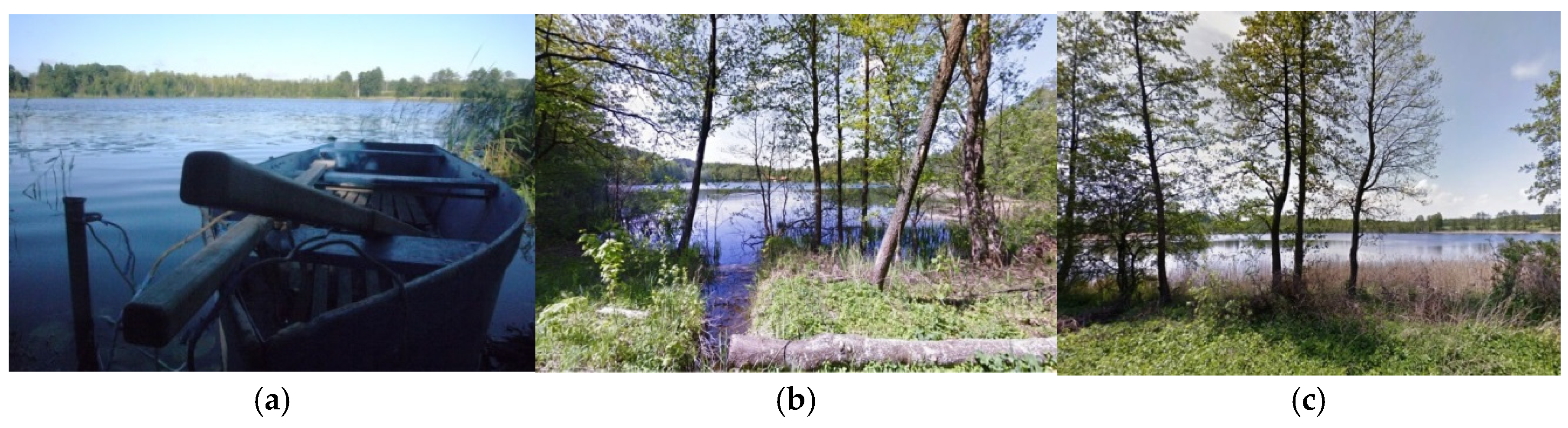 Resources 13 00173 g004