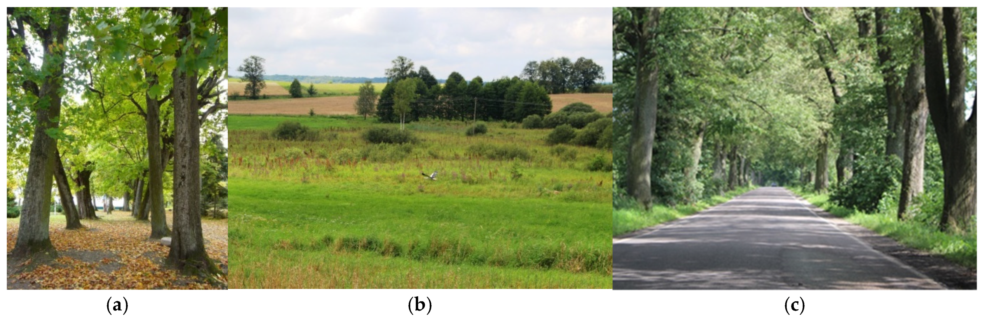 Resources 13 00173 g005