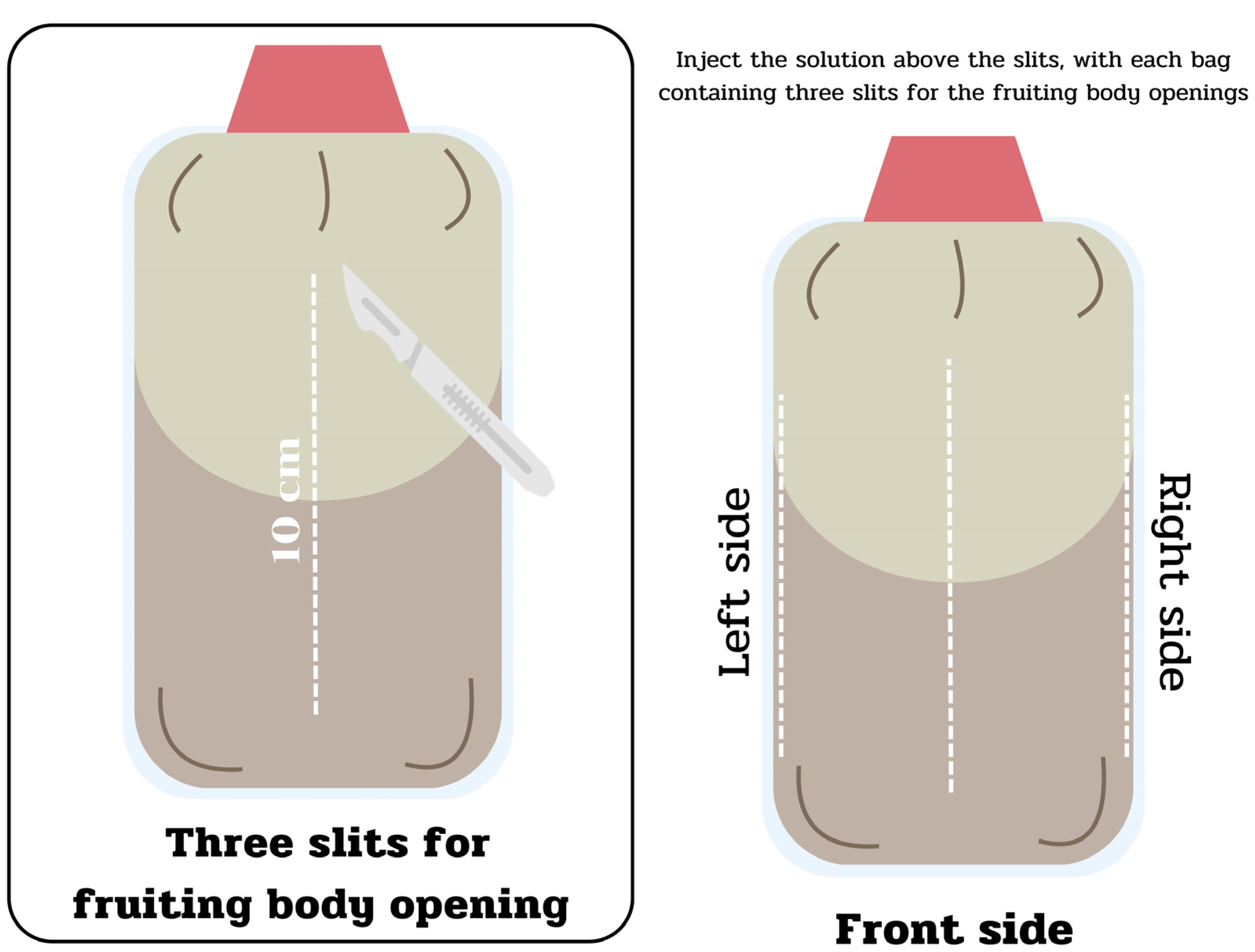 Resources 14 00003 g001