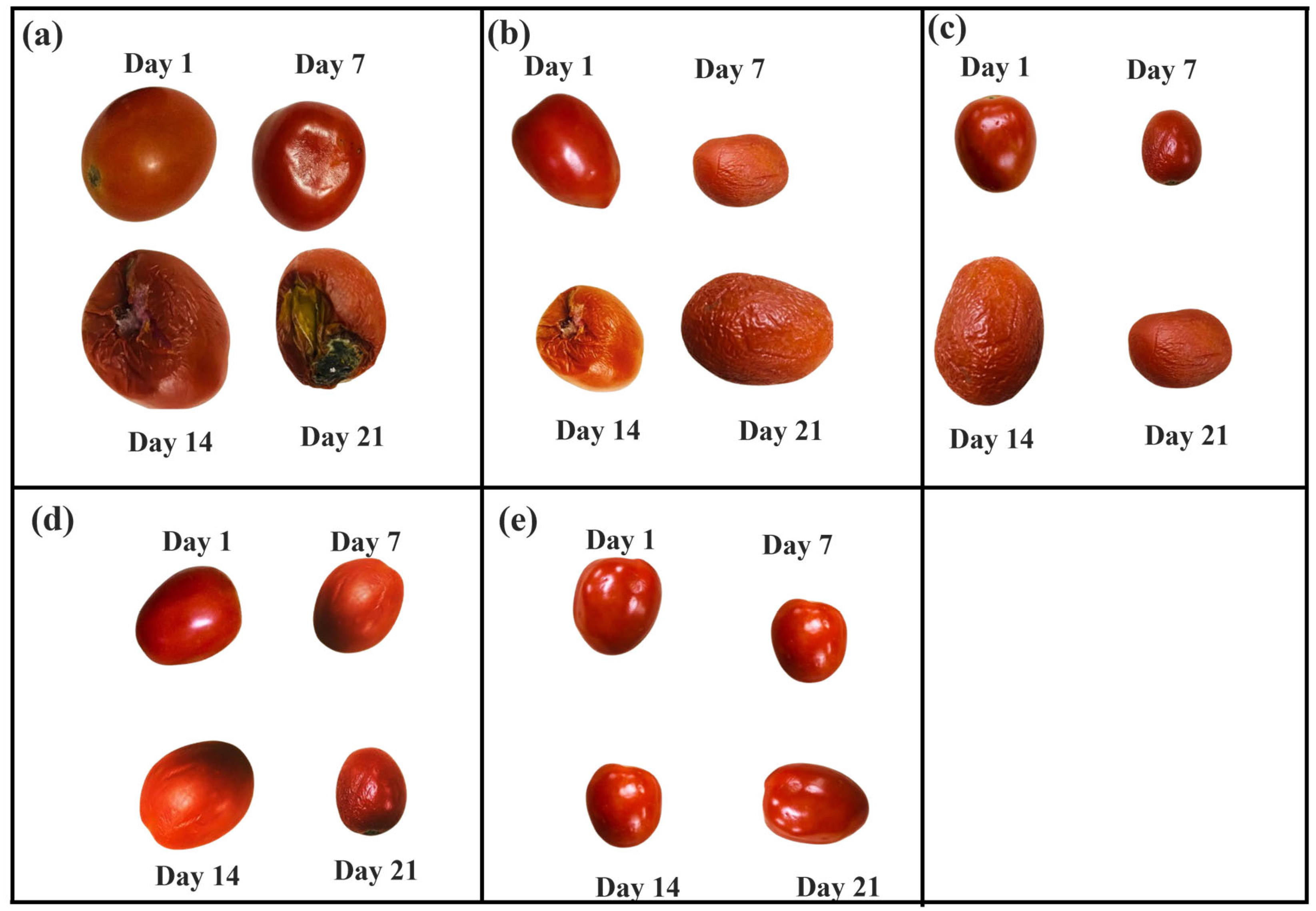 Resources 14 00015 g004