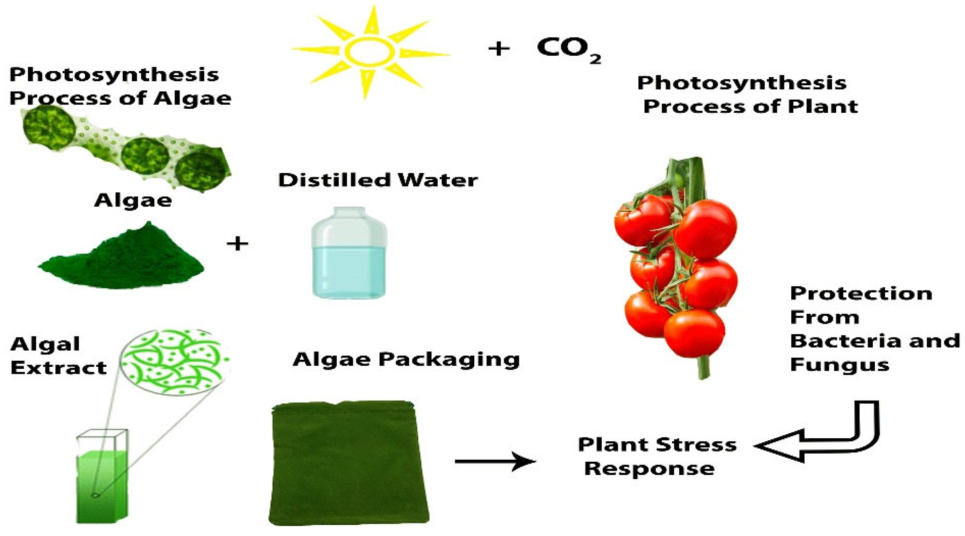 Resources 14 00015 g008