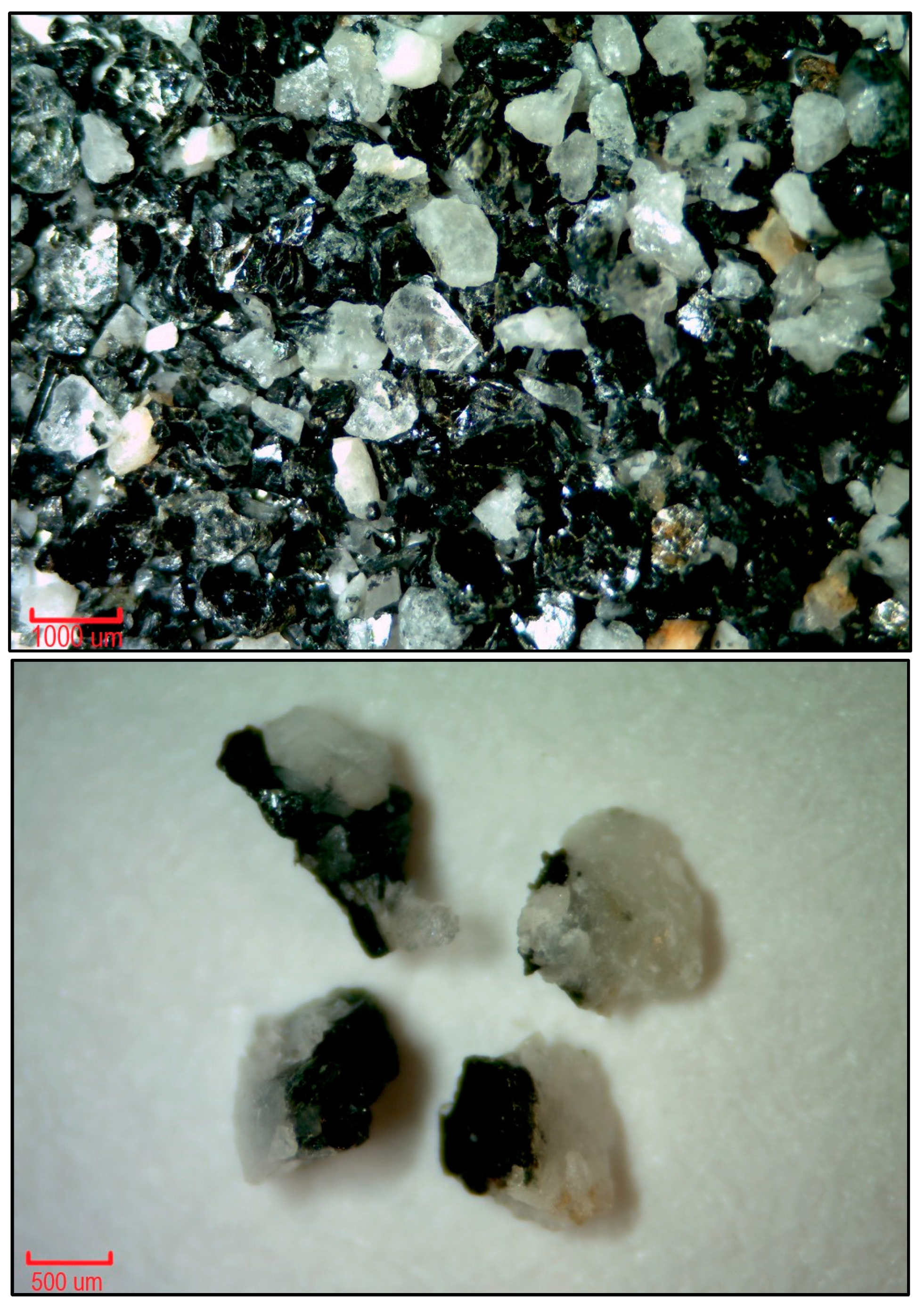 Resources 14 00024 g006